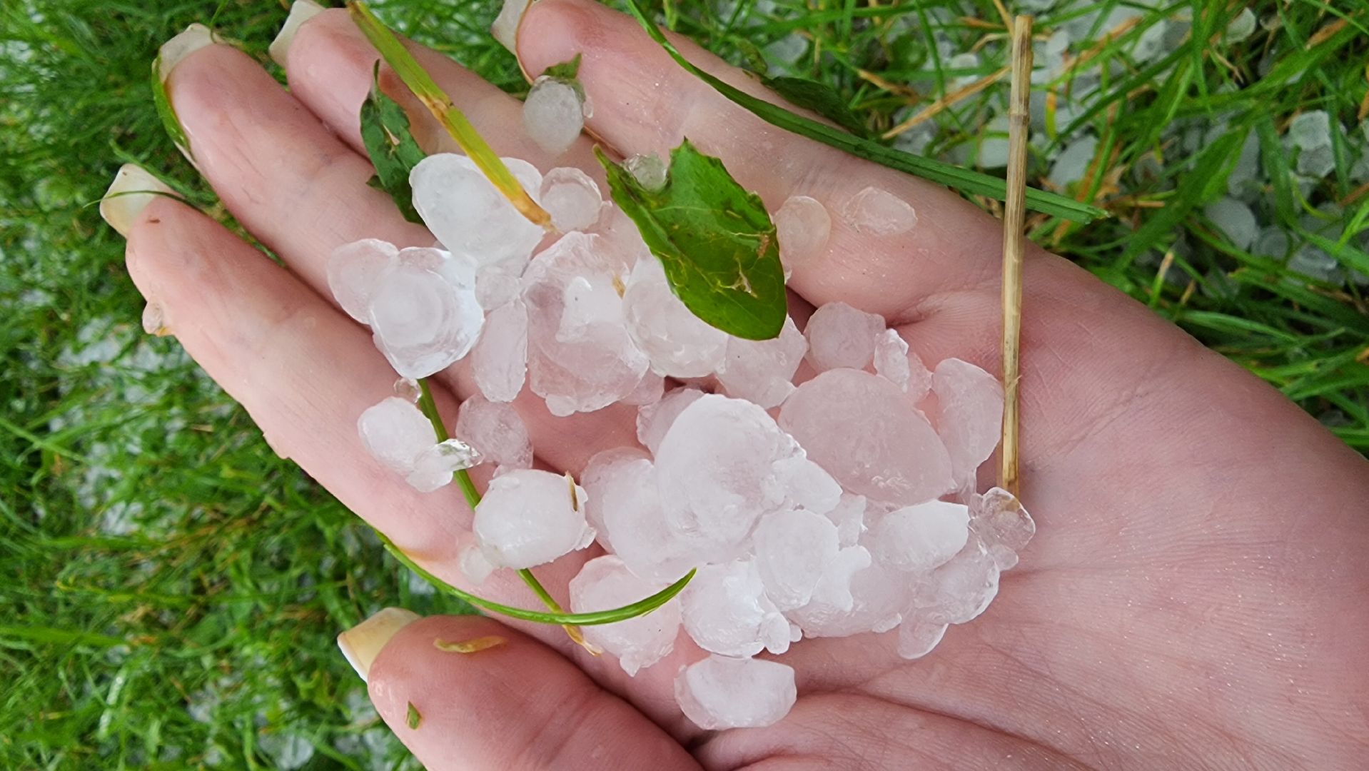 Град, Можайск, Непогода, Ливень,