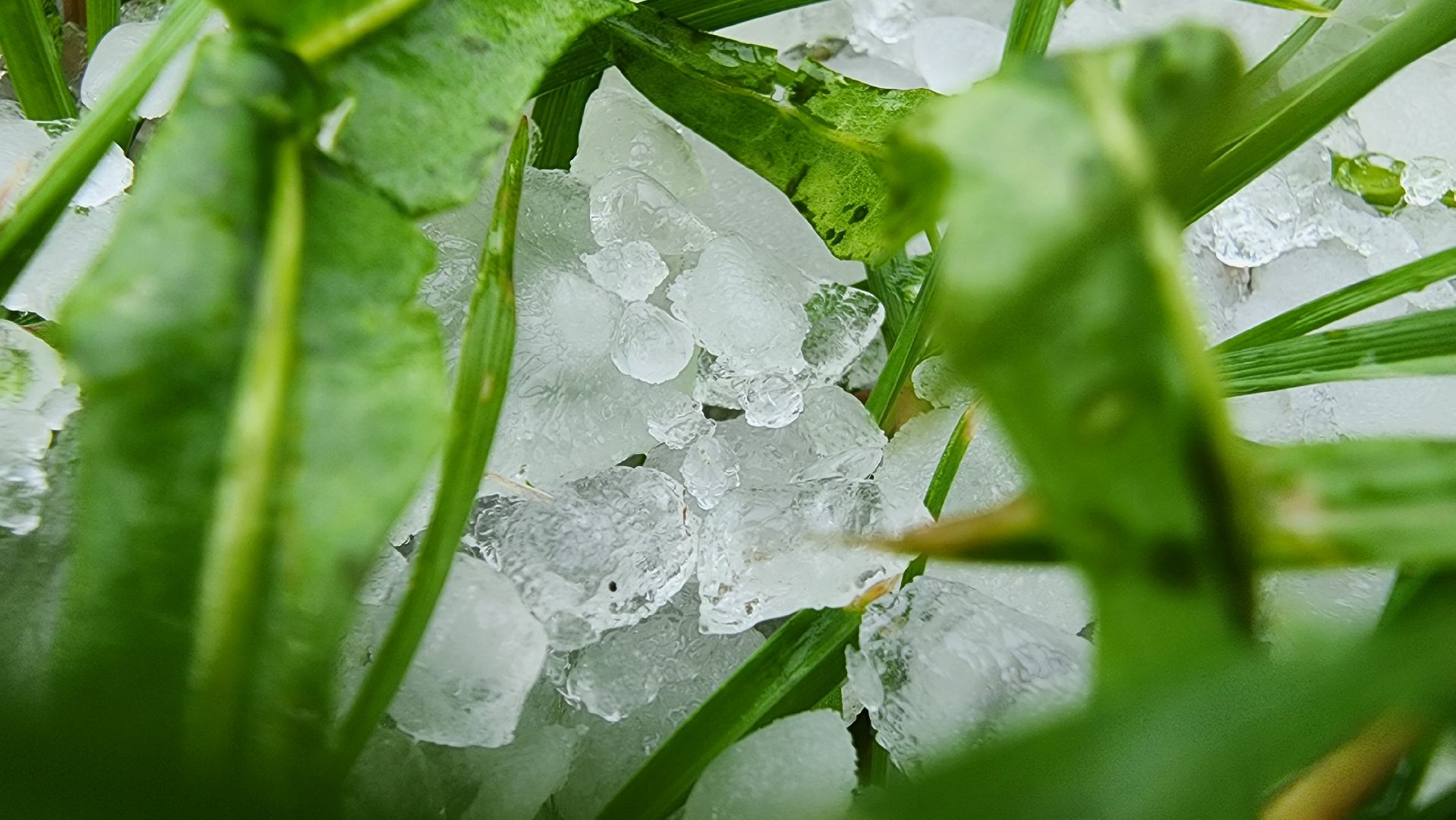 Град, Можайск, Непогода, Ливень,