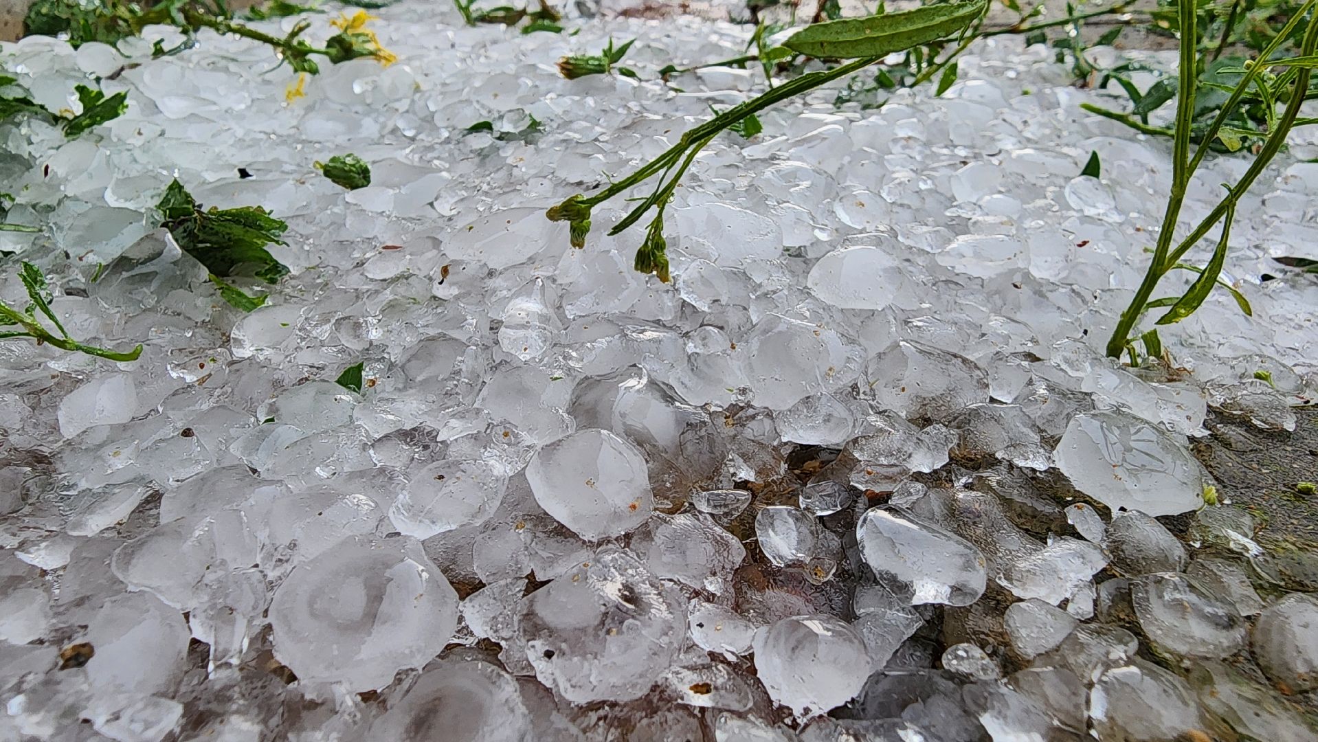 Град, Можайск, Непогода, Ливень,