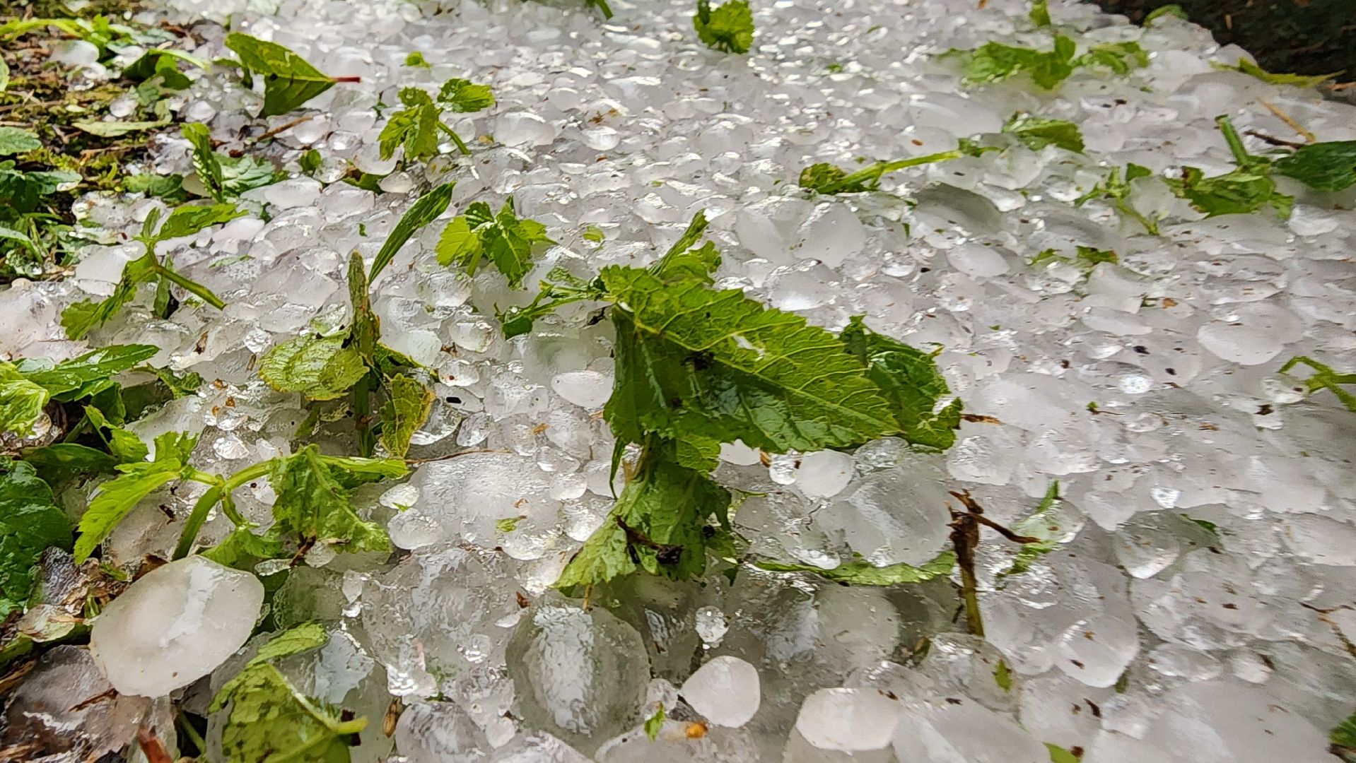 Град, Можайск, Непогода, Ливень,