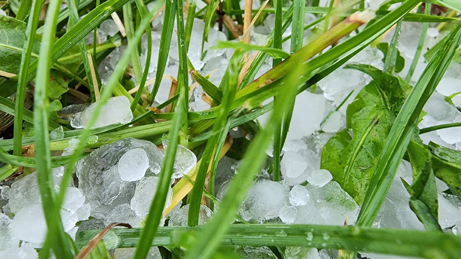 Град, Можайск, Непогода, Ливень,