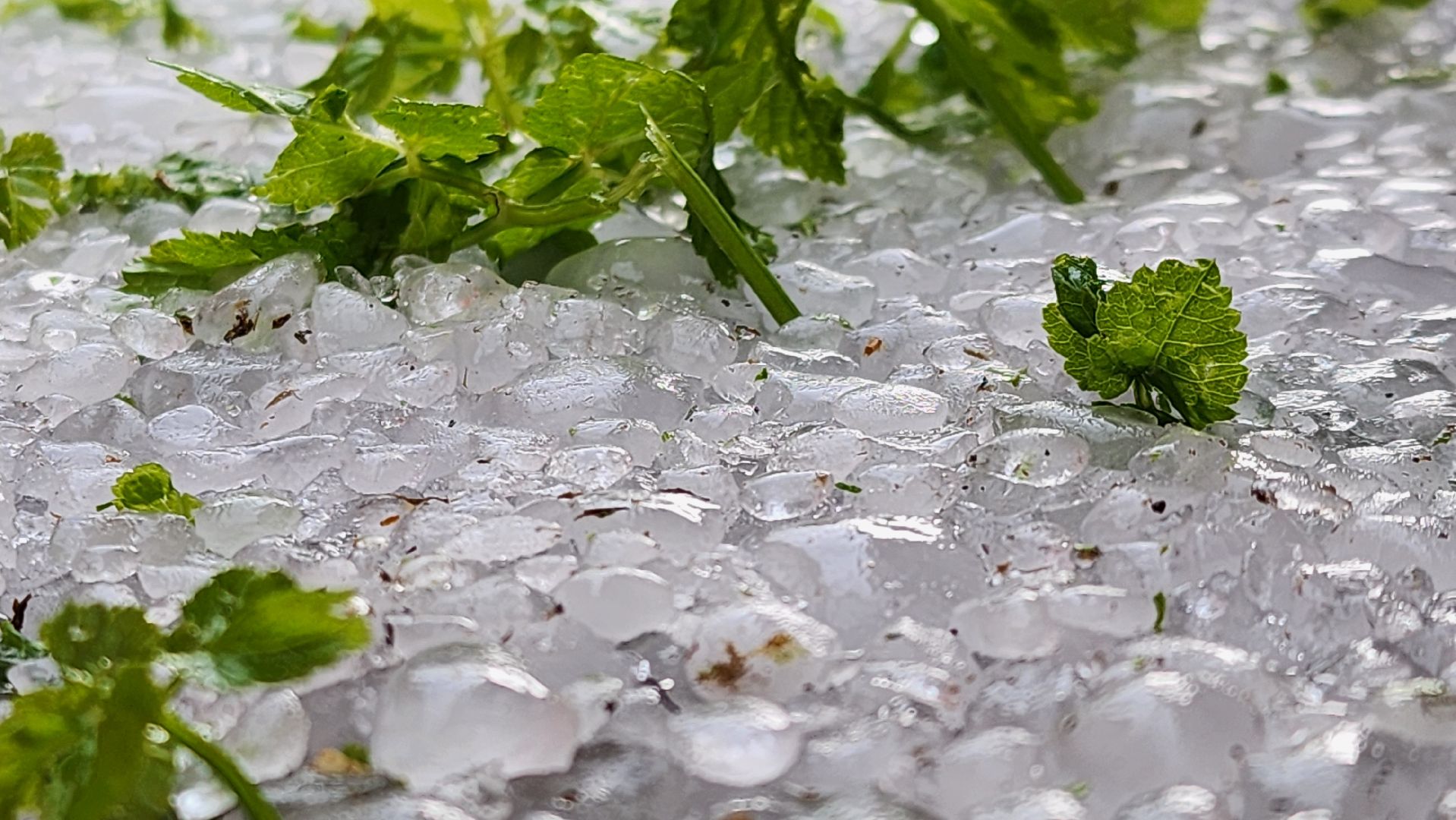 Град, Можайск, Непогода, Ливень,