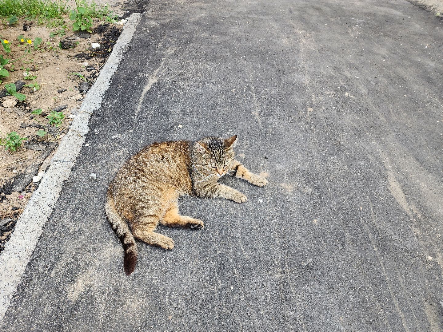 красноармейск, городской округ пушкинский, комплексное благоустройство, новые тротуары,