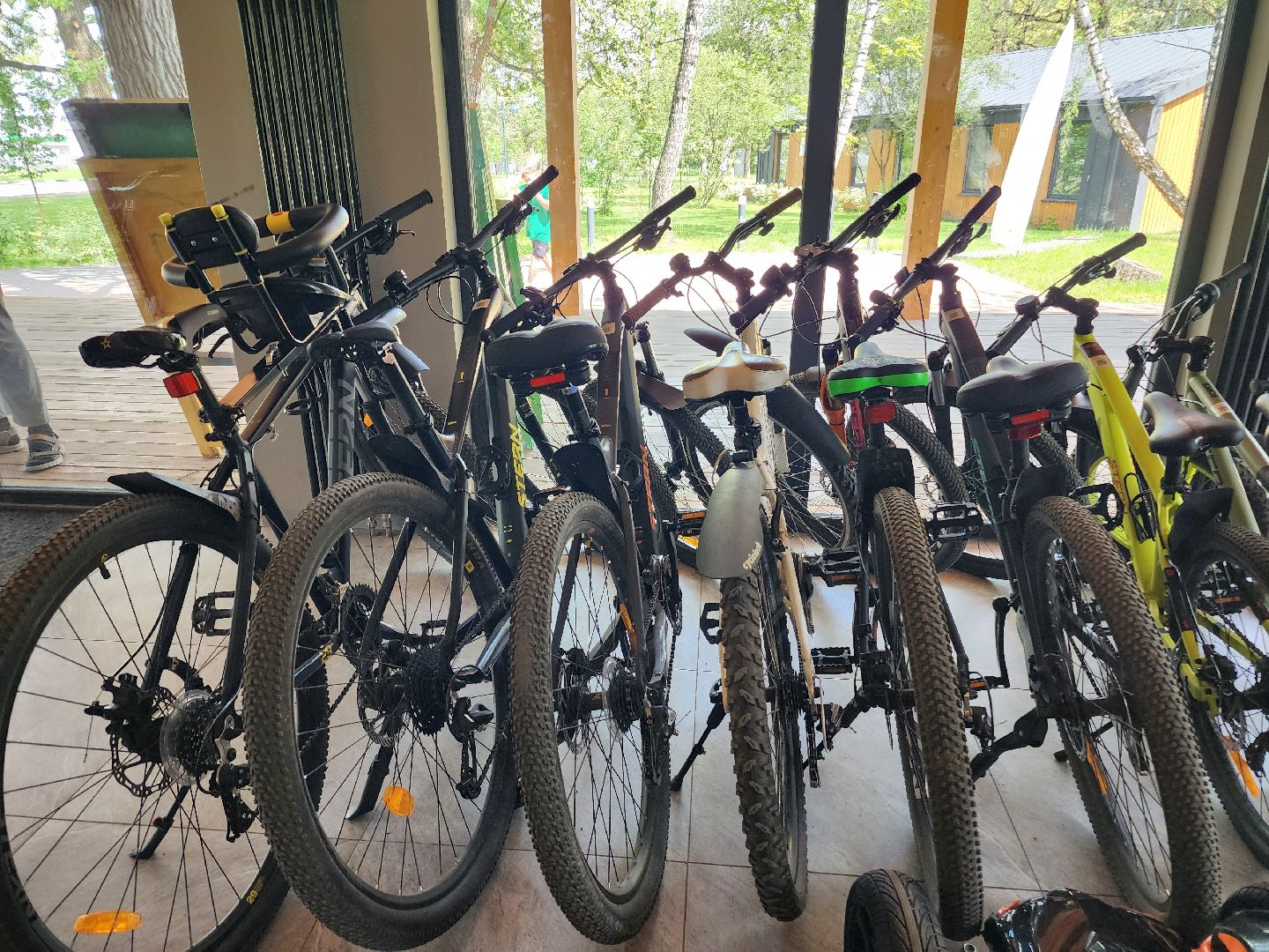 фрязино, велопрокат, лесопарк, велосипед, лето в парках,