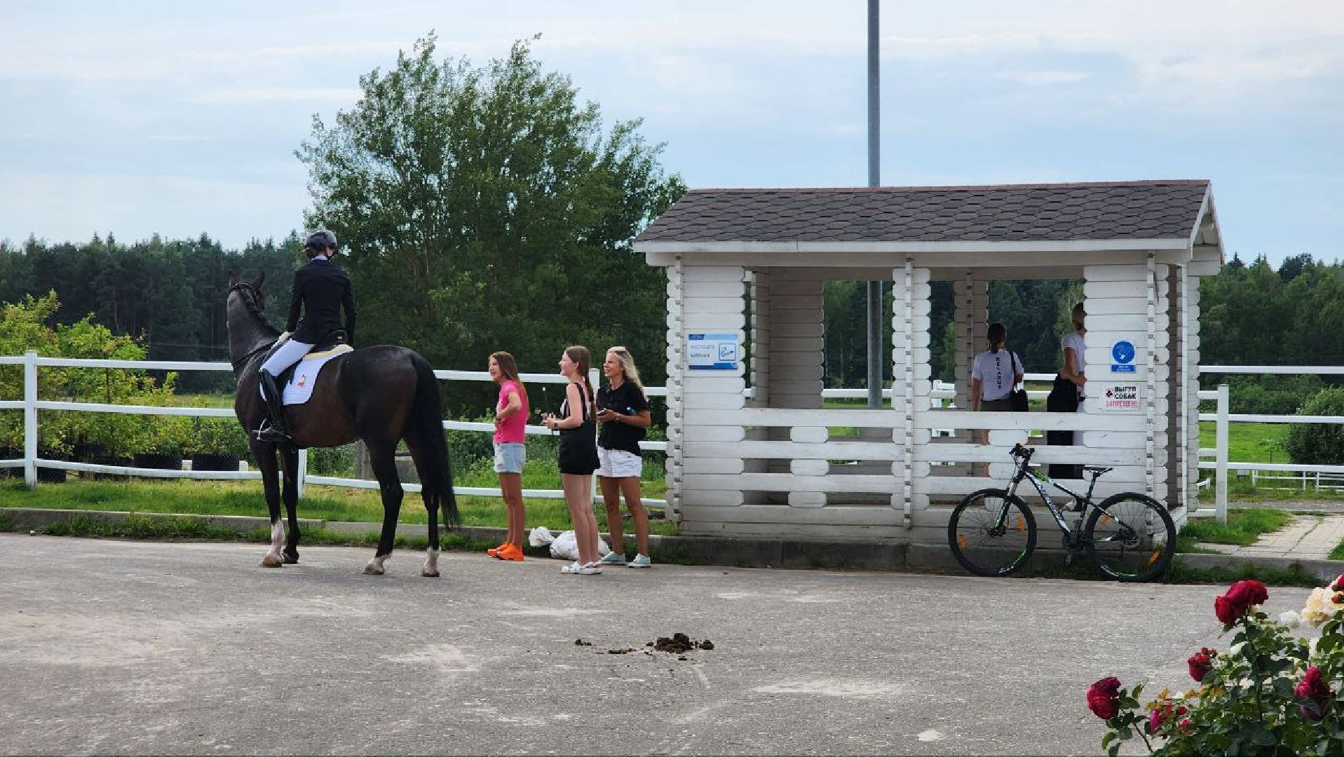 Дмитров, Клуб Максима Парк, Конный спорт, Евразийские игры, Минспорта,