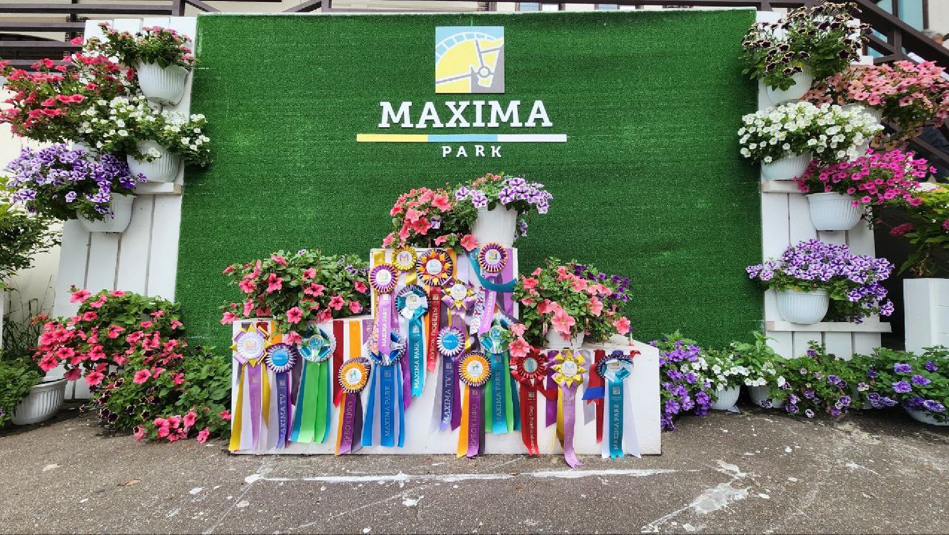 Дмитров, Клуб Максима Парк, Конный спорт, Евразийские игры, Минспорта,