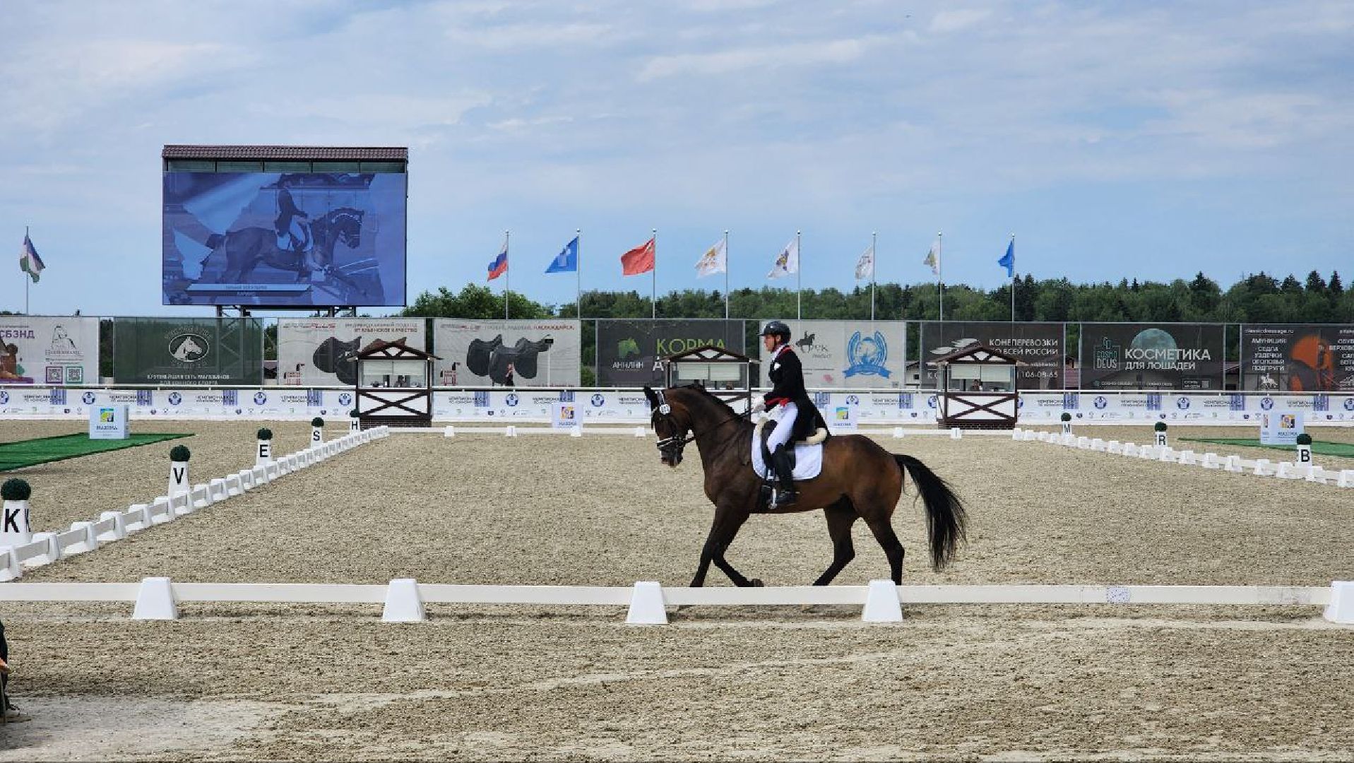 Дмитров, Клуб Максима Парк, Конный спорт, Евразийские игры, Минспорта,