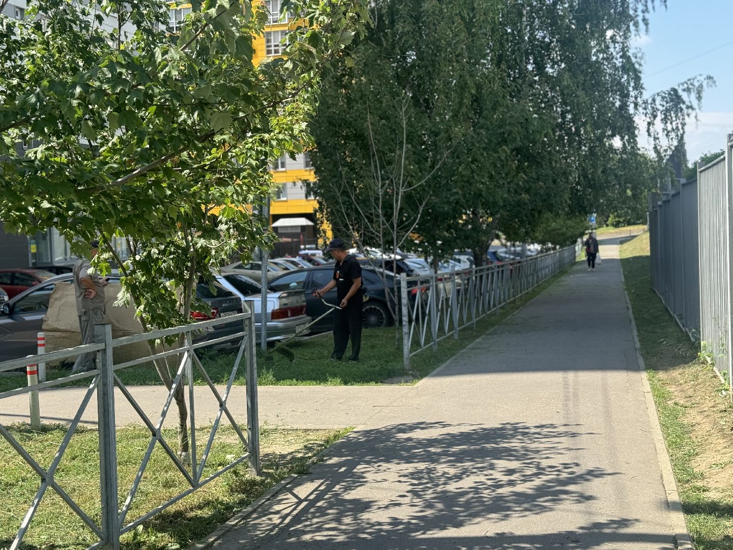 покос травы, ленинский городской округ, мбу благоустройство,