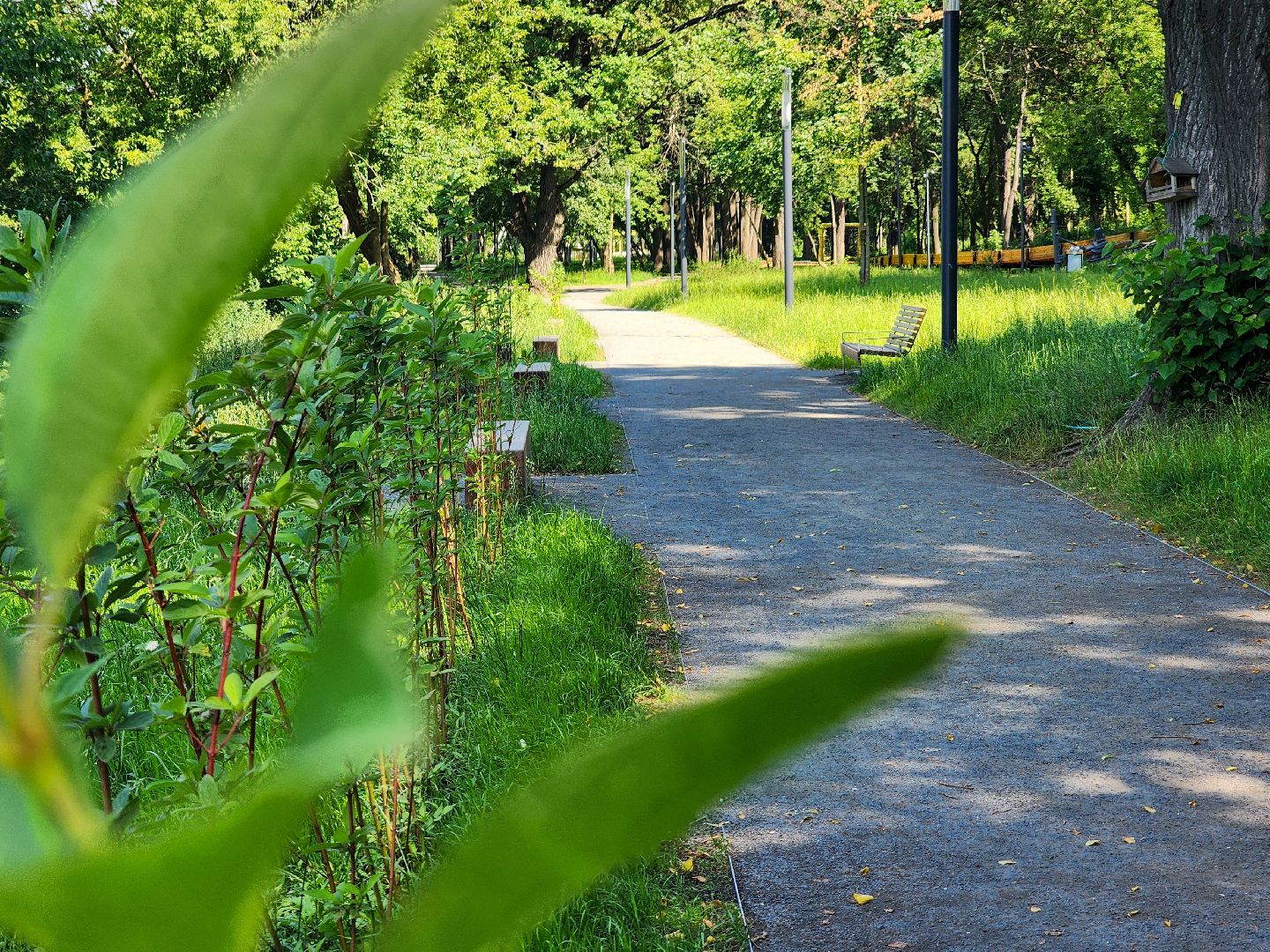 Подольск, Парк Талалихина, Пляж, отдых у воды,