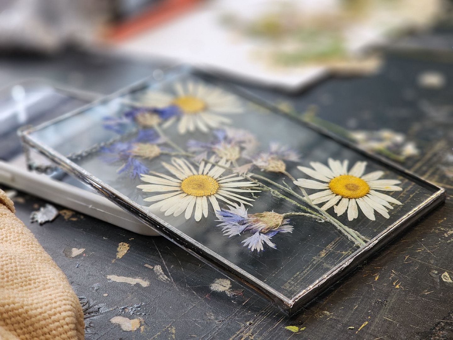 Черноголовка, мастер-класс, Гербарии в стекле,