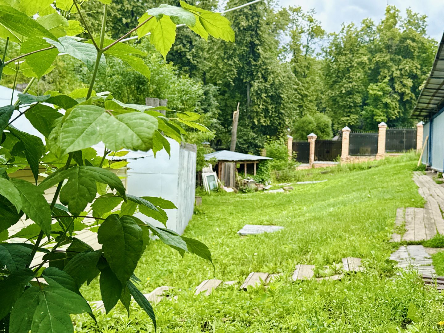 раменское, троицкий храм раменское, отец никодим,