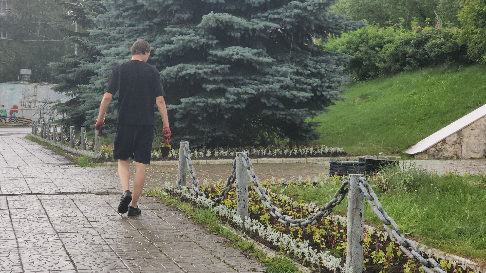 Озеленение , Высадка растений , однолетние цветы, Мемориал , Лобня,