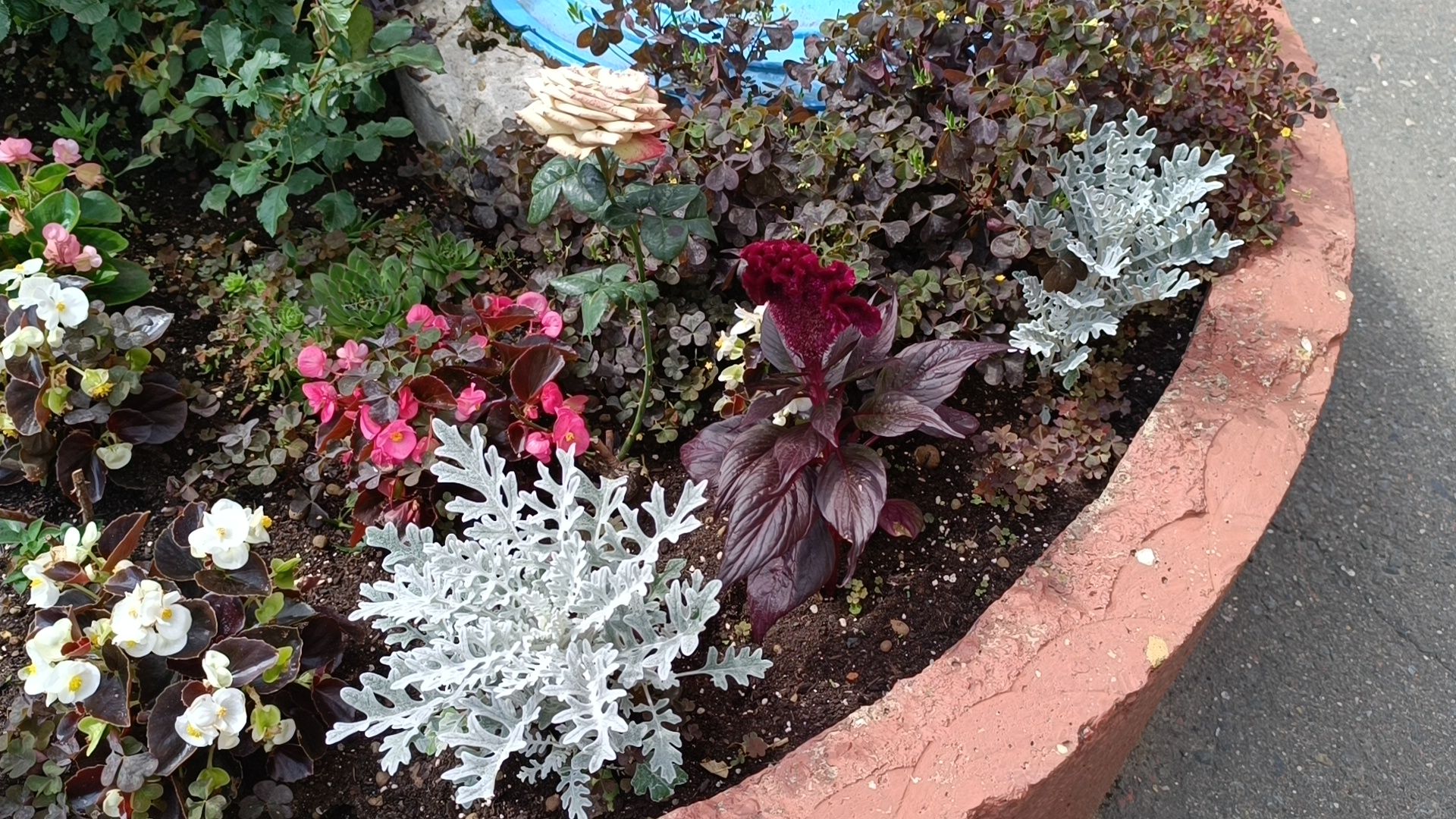 сво, лобня, дом,