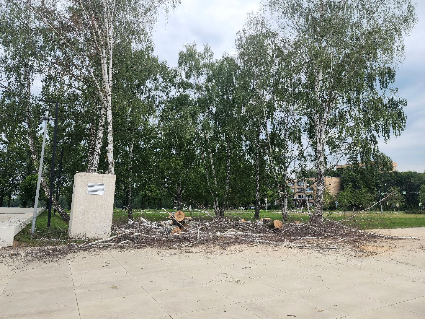 пущино,серпухов, благоустойство,