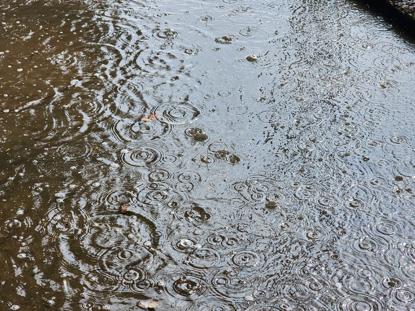 Истра, Парк, Дети, игры на свежем воздухе,