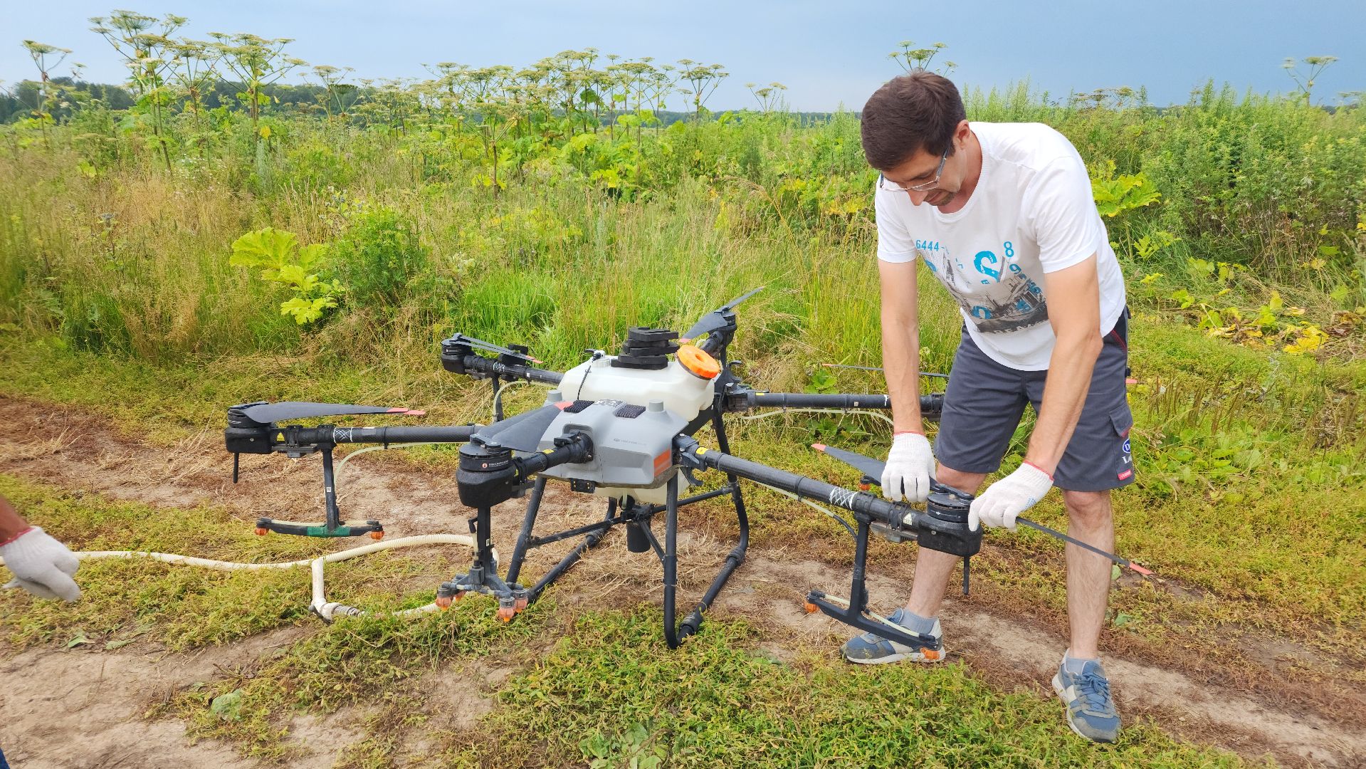 волоколамск, борьба с борщевиком, ильинское,