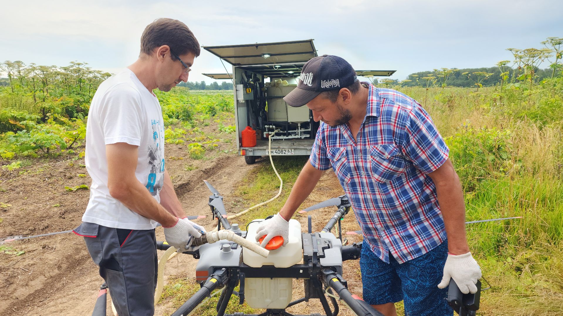 волоколамск, борьба с борщевиком, ильинское,