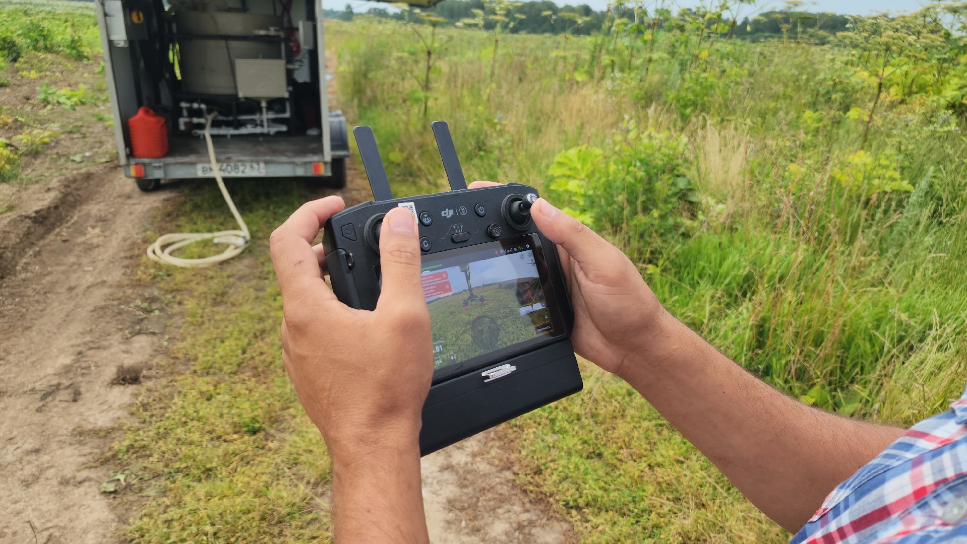 волоколамск, борьба с борщевиком, ильинское,