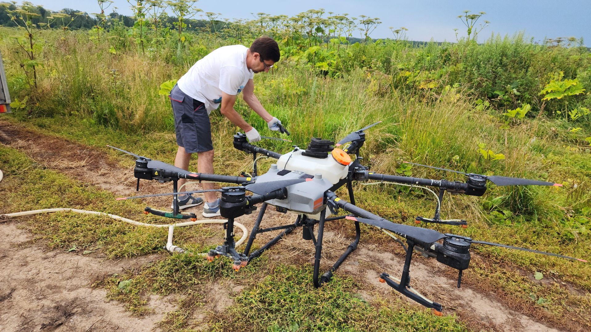 волоколамск, борьба с борщевиком, ильинское,