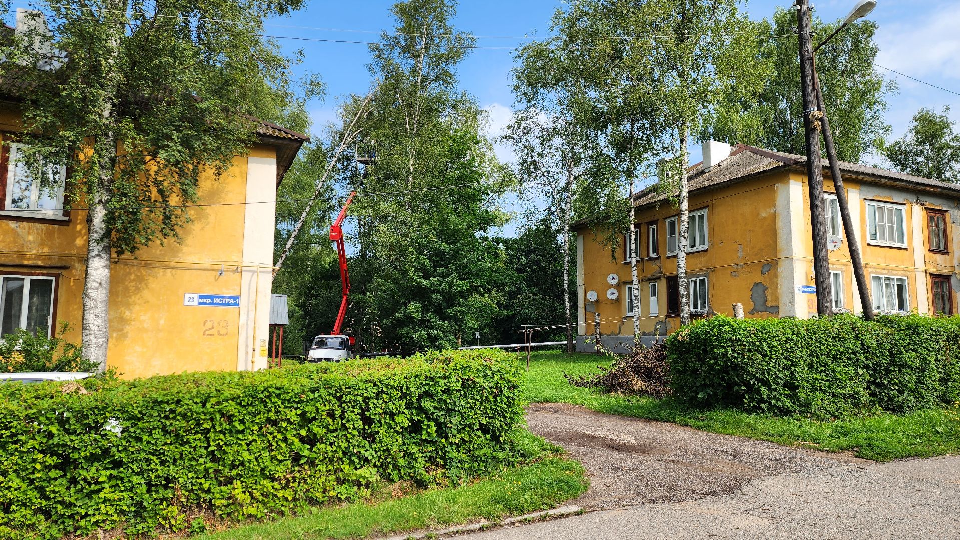 истра, благоустройство, аварийное дерево,