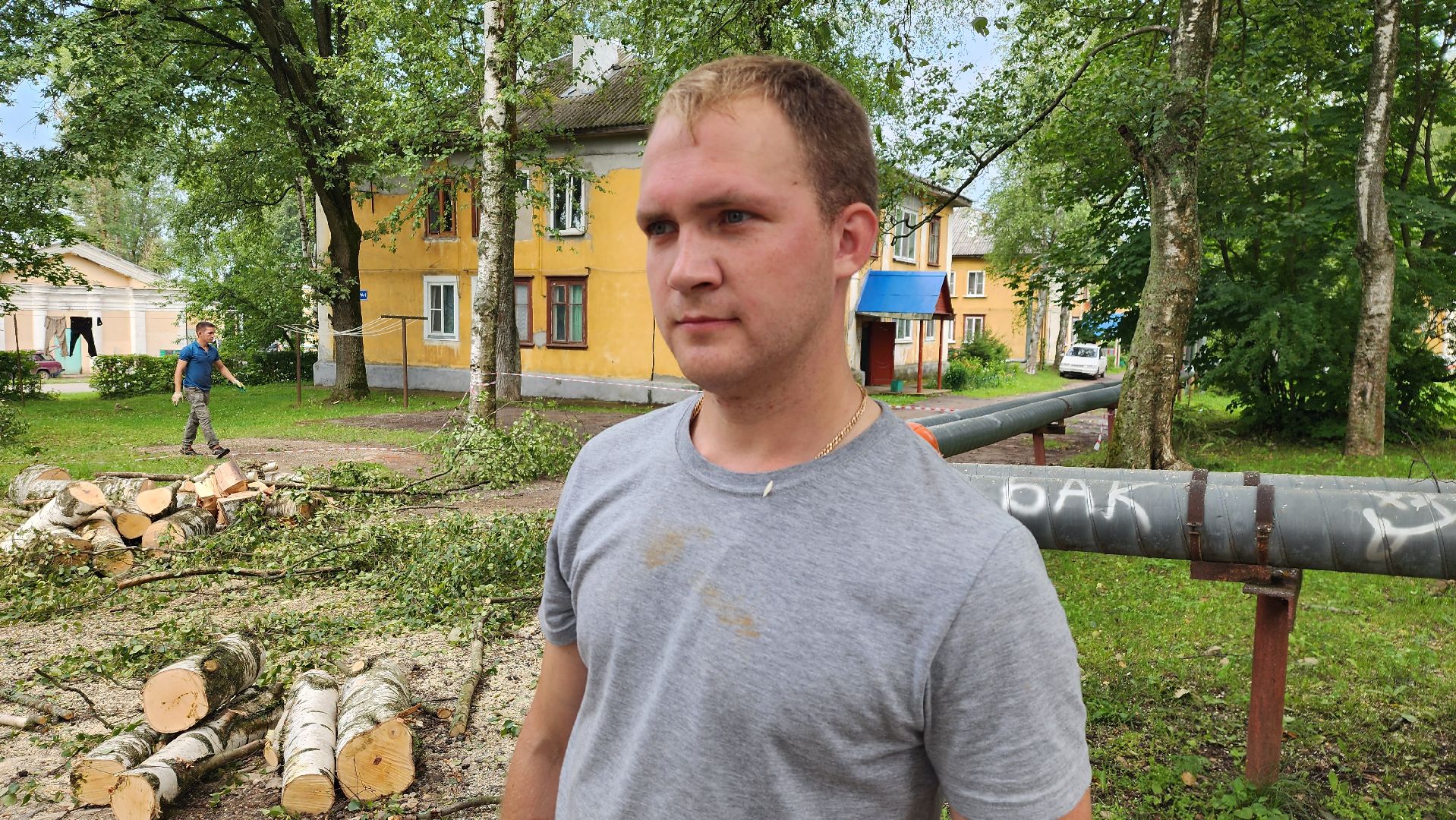 истра, благоустройство, аварийное дерево,