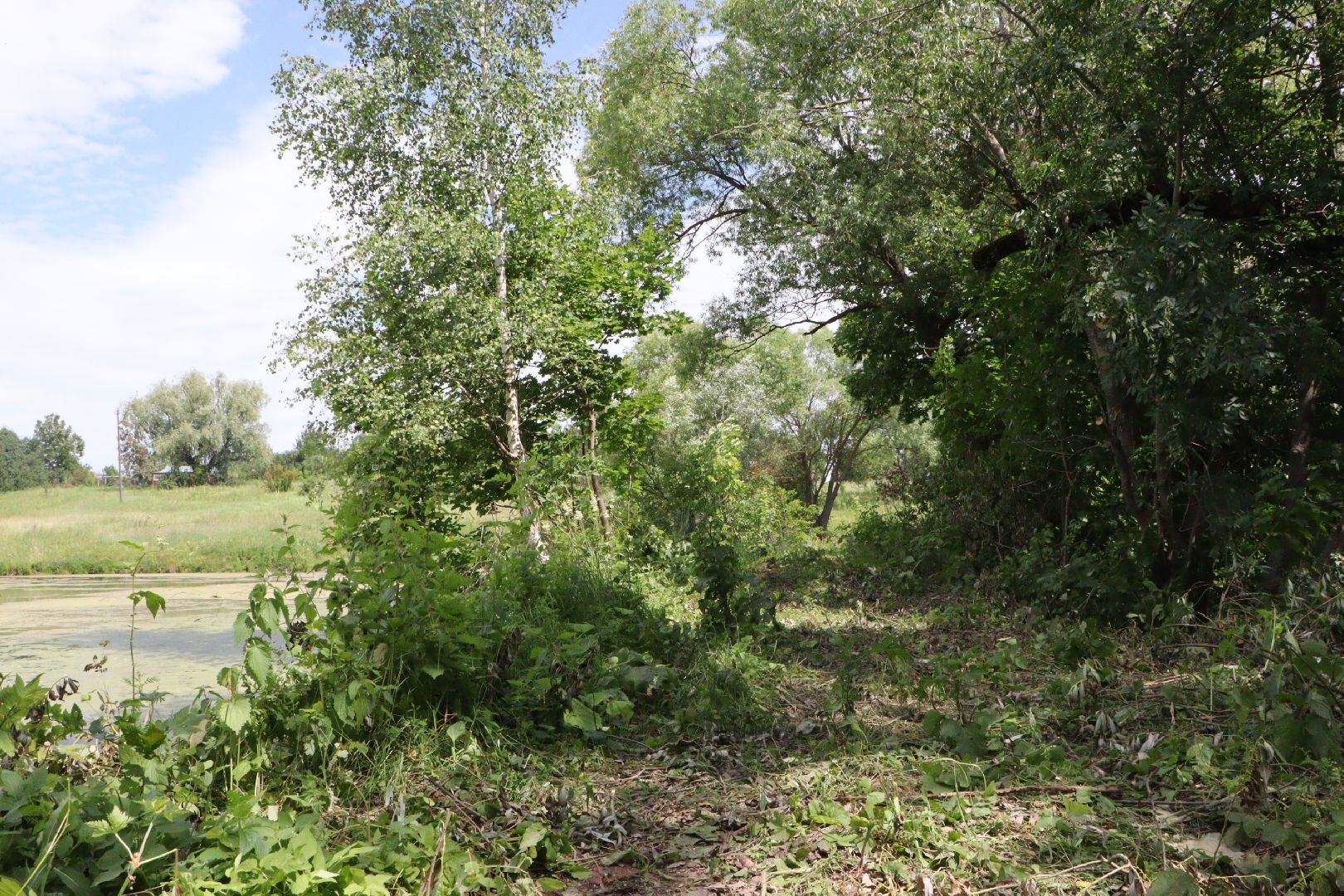 зарайск, ремонт , обращения граждан,