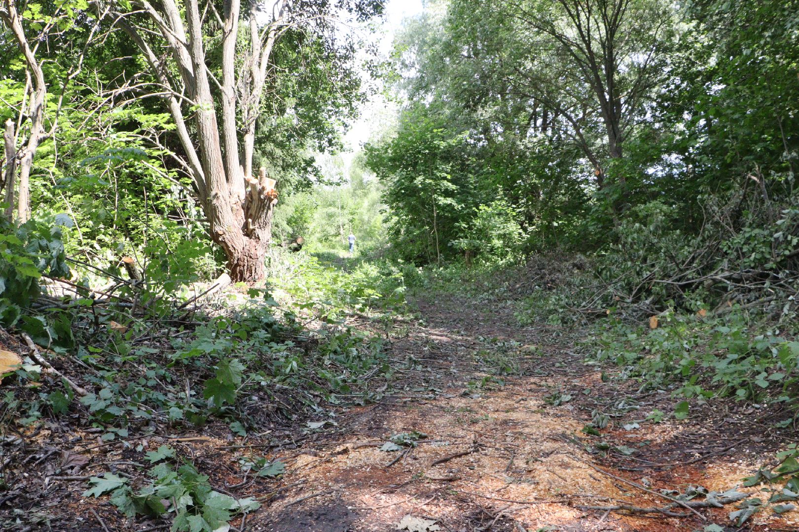 зарайск, ремонт , обращения граждан,