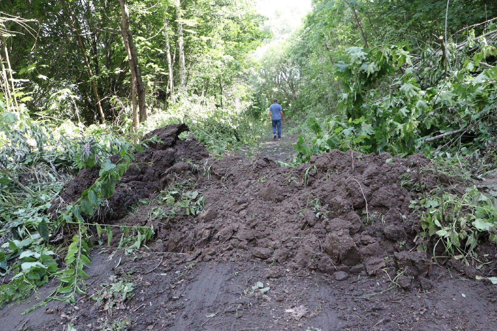зарайск, ремонт , обращения граждан,