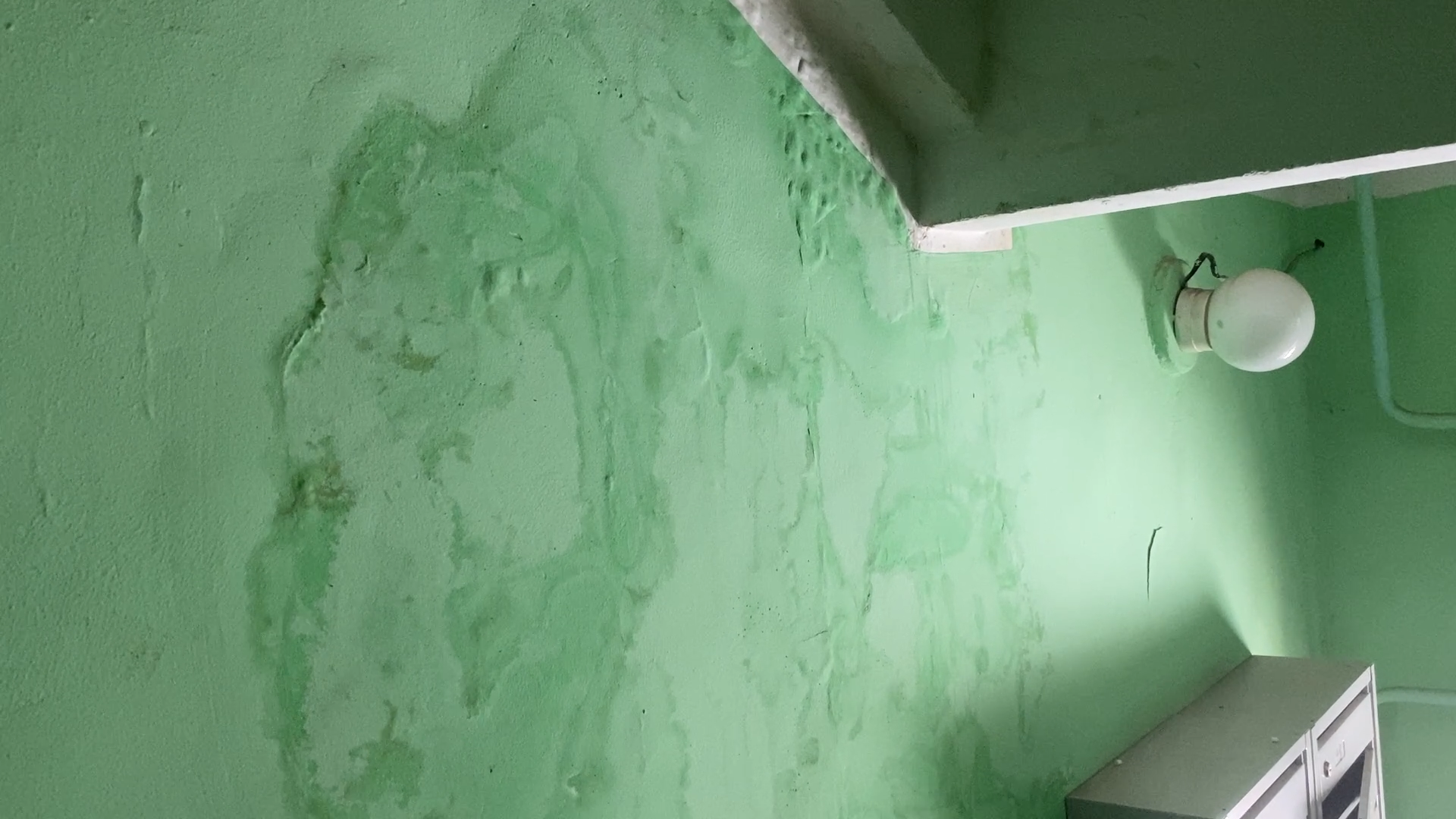 ремонт МКД, ремонт подъезда, власиха цветной бульвар, цветной бульвар 8, обход территории, обращения жителей,