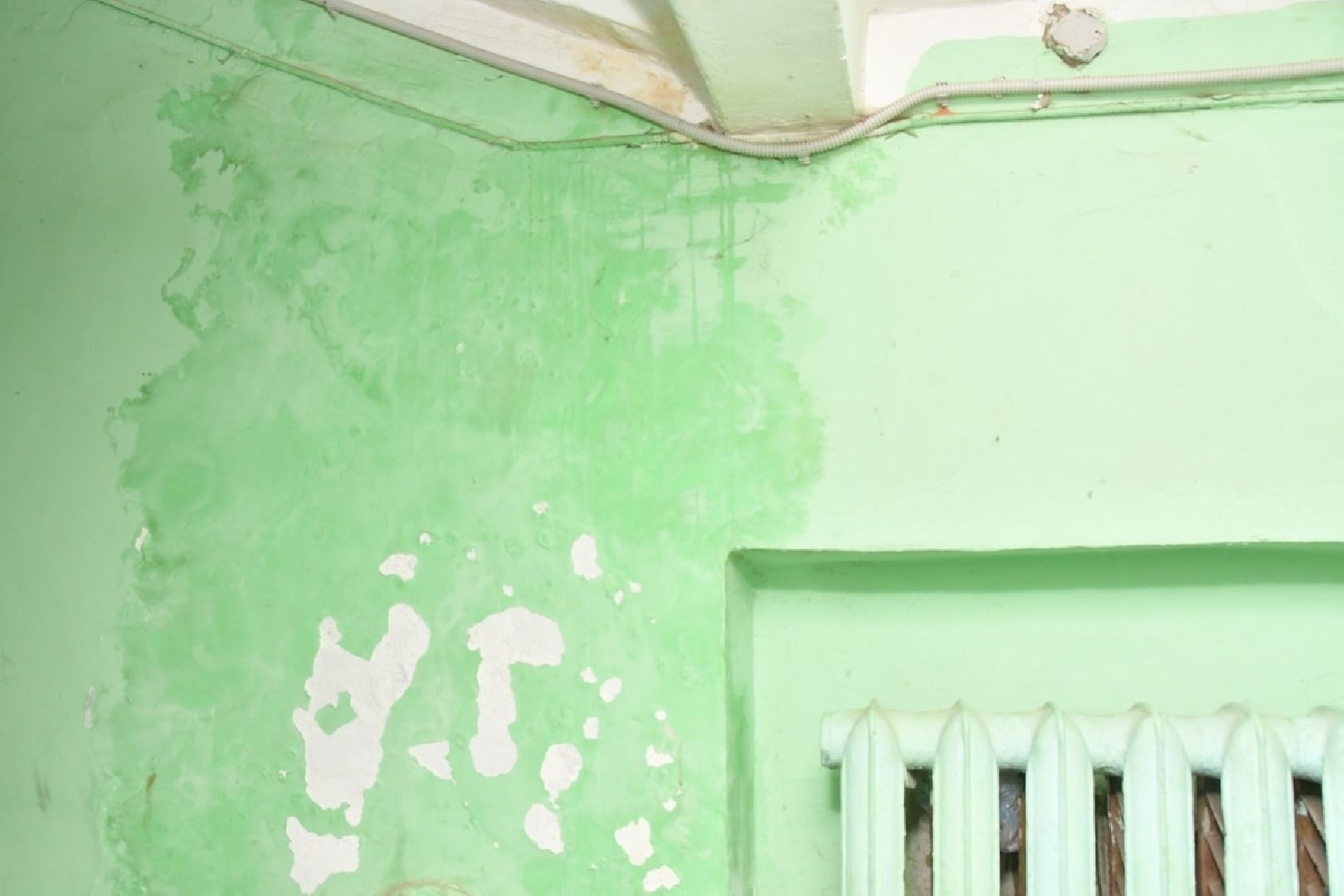 ремонт МКД, ремонт подъезда, власиха цветной бульвар, цветной бульвар 8, обход территории, обращения жителей,