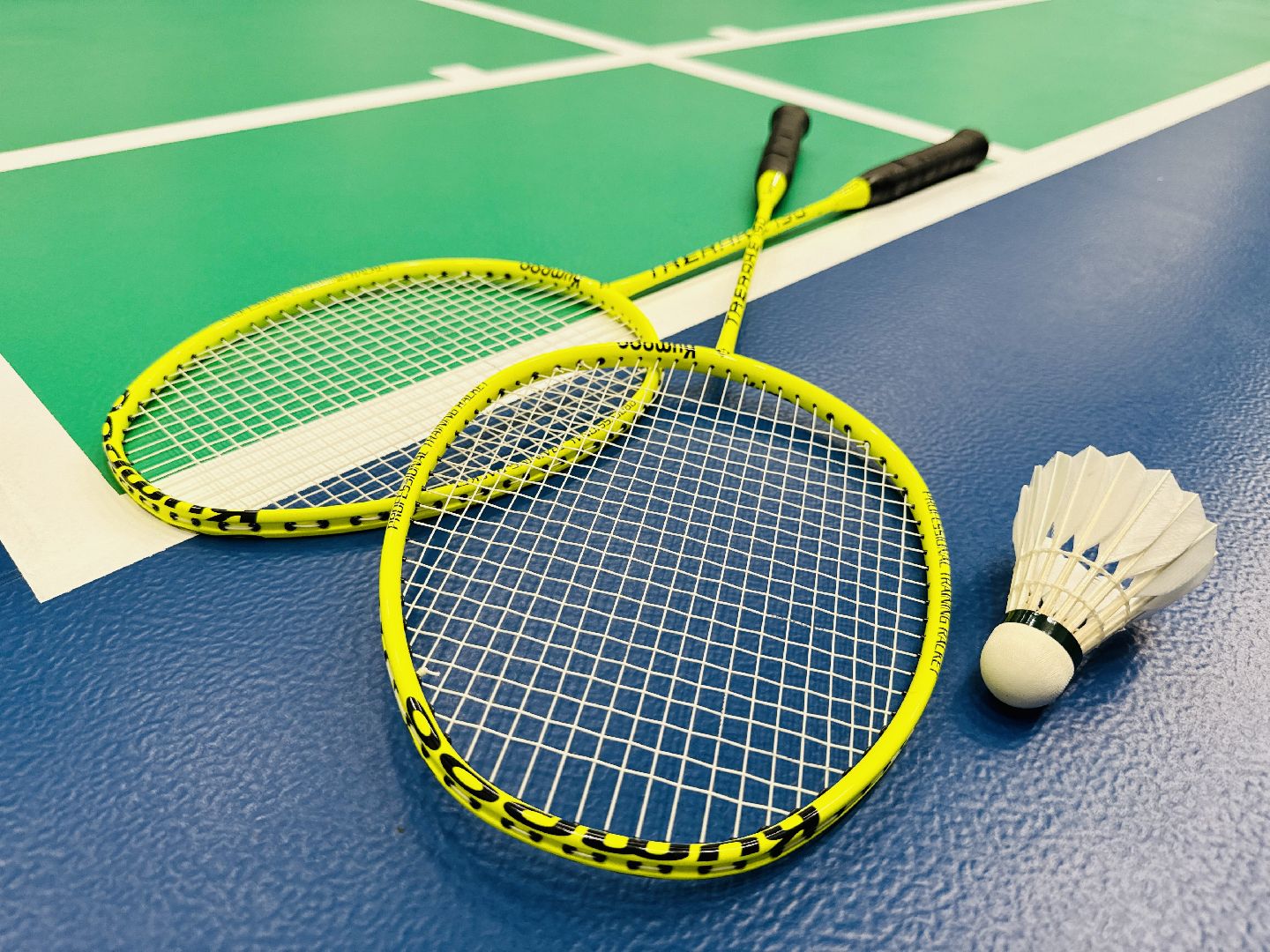 раменское, фок, бадминтон, бадминтонный центр, дворец спорта борисоглебский,нацпроект демография,