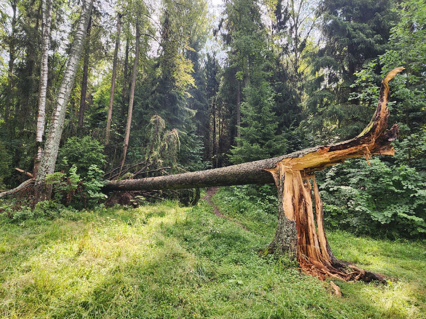 красноармейск, городской округ пушкинский, каникулы с пользой, велопрогулка, поход,