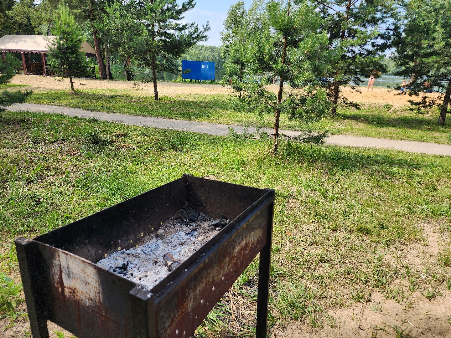 фрязино, пляжный отдых, мангальная зона, лето в подмосковье, озеро,