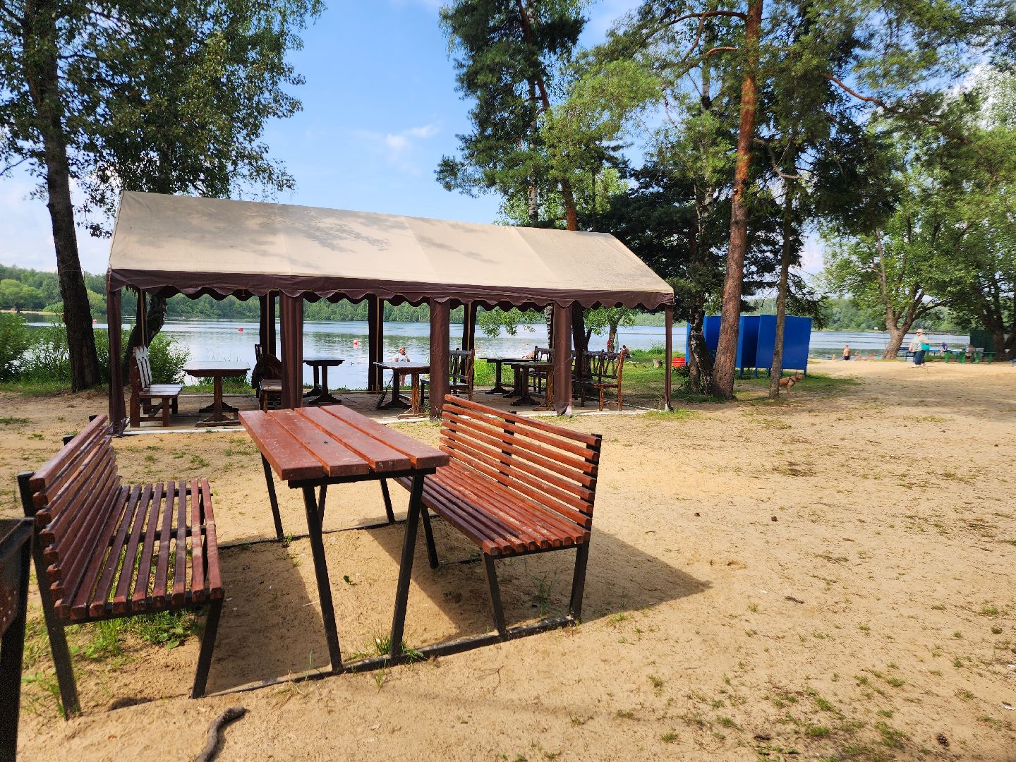 фрязино, пляжный отдых, мангальная зона, лето в подмосковье, озеро,