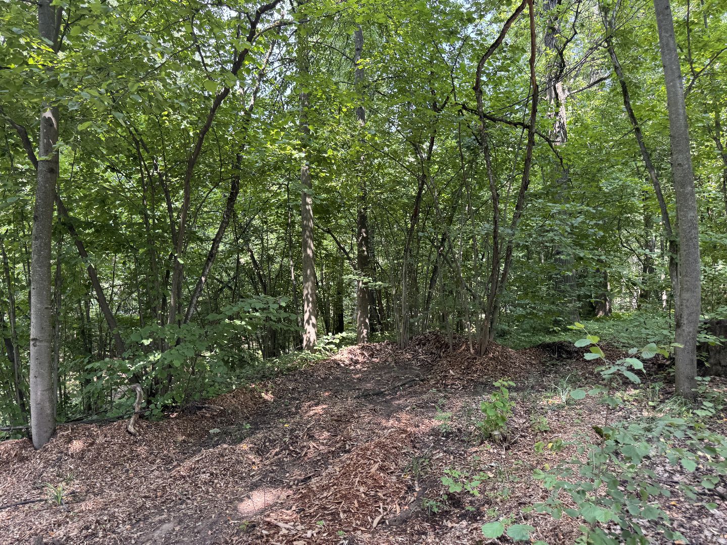 Краеведческий забег, День рождения Одинцово, Курганные комплексы,