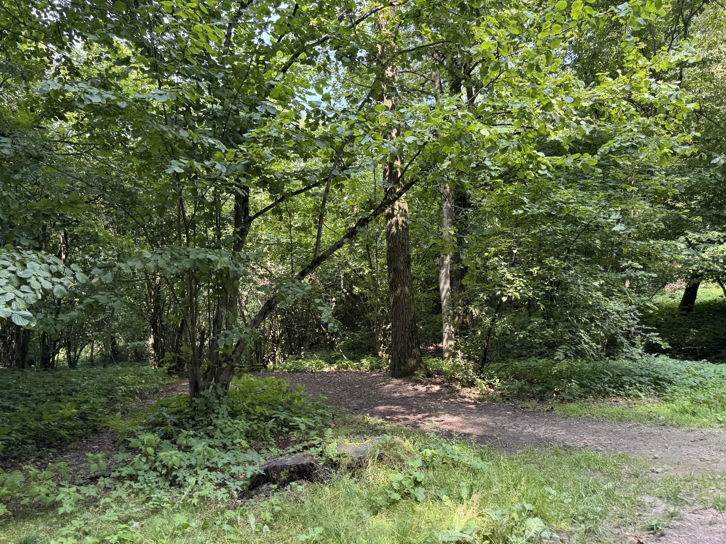 Краеведческий забег, День рождения Одинцово, Курганные комплексы,