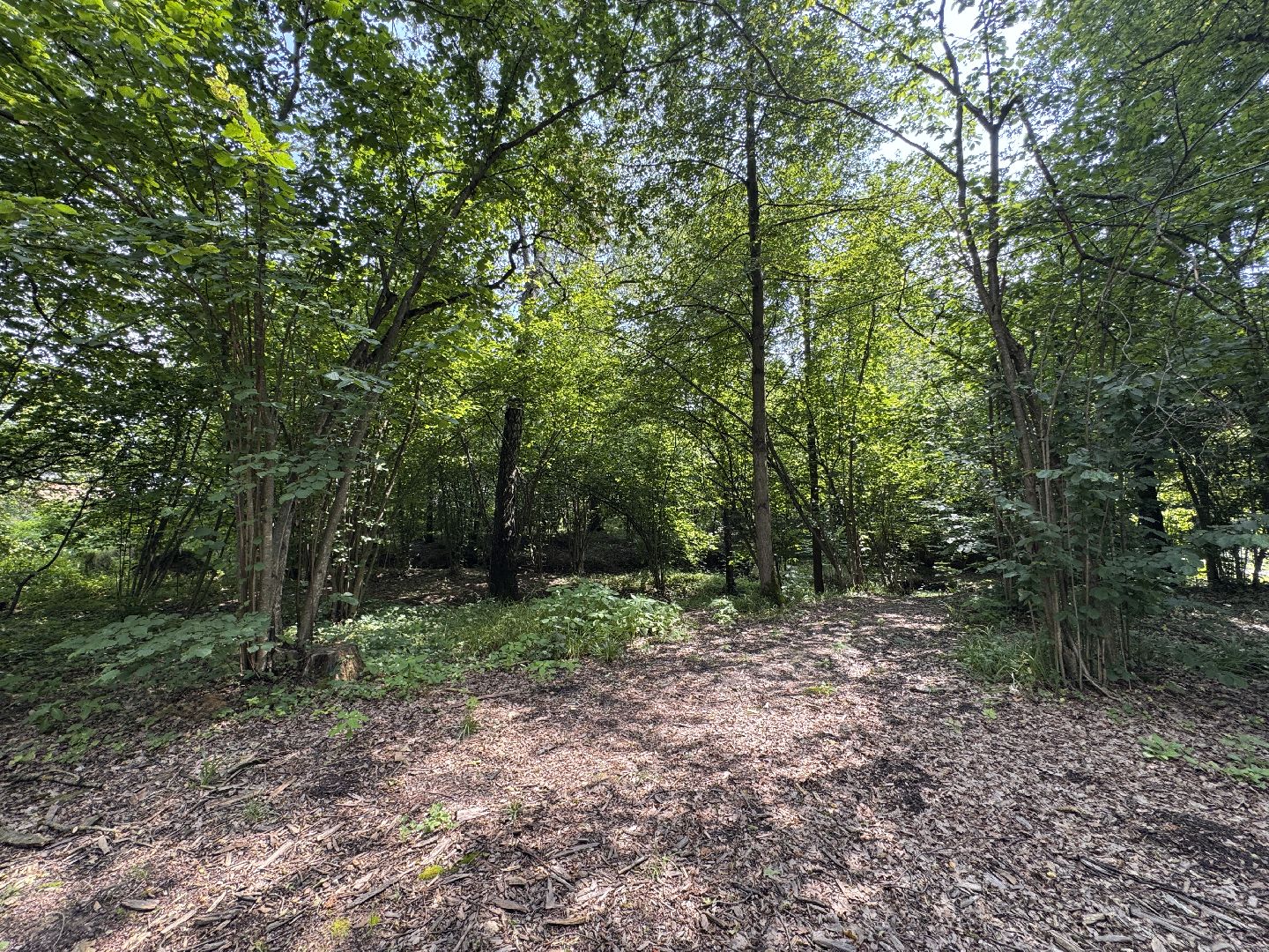 Краеведческий забег, День рождения Одинцово, Курганные комплексы,