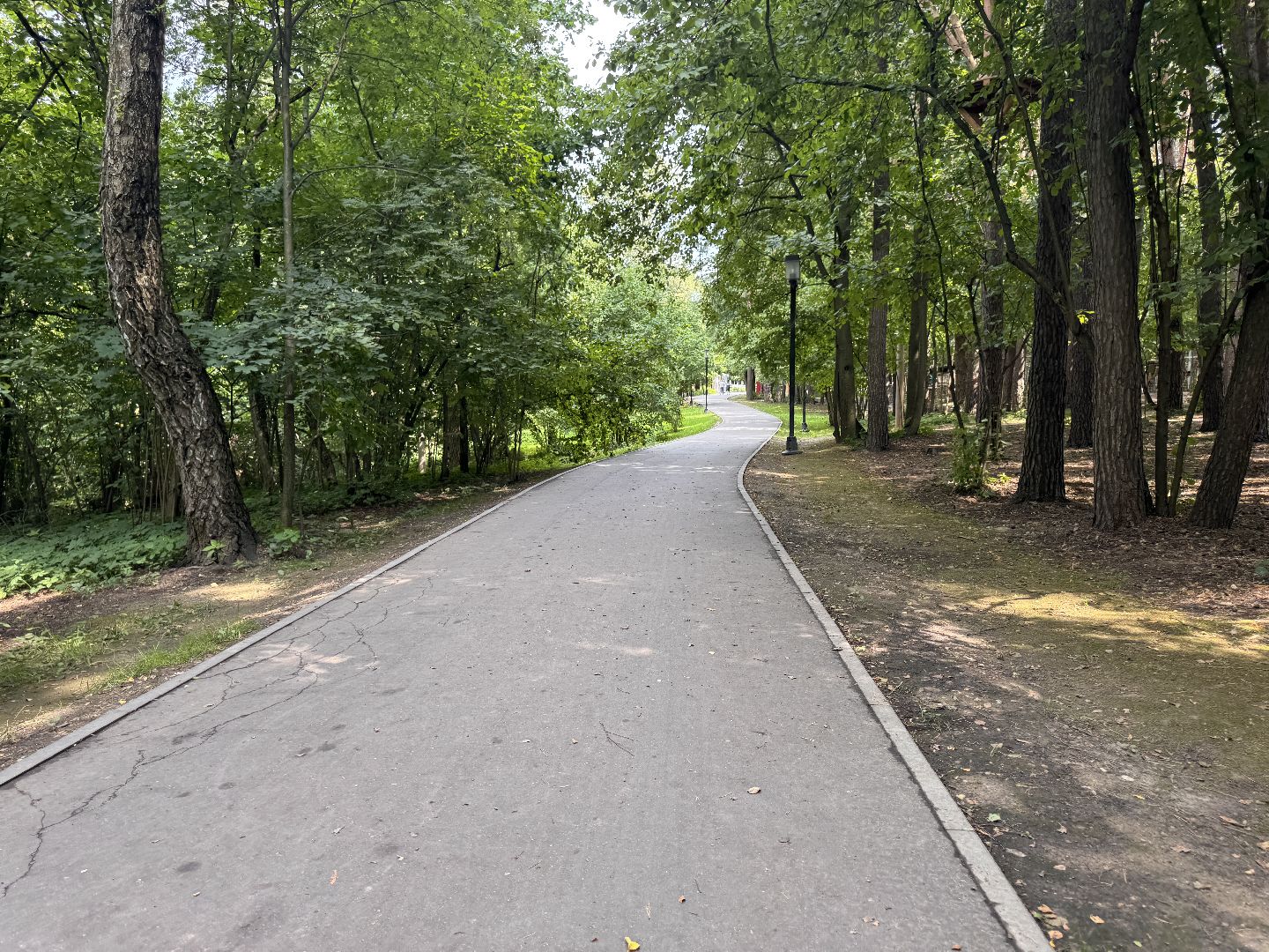 Краеведческий забег, День рождения Одинцово, Курганные комплексы,