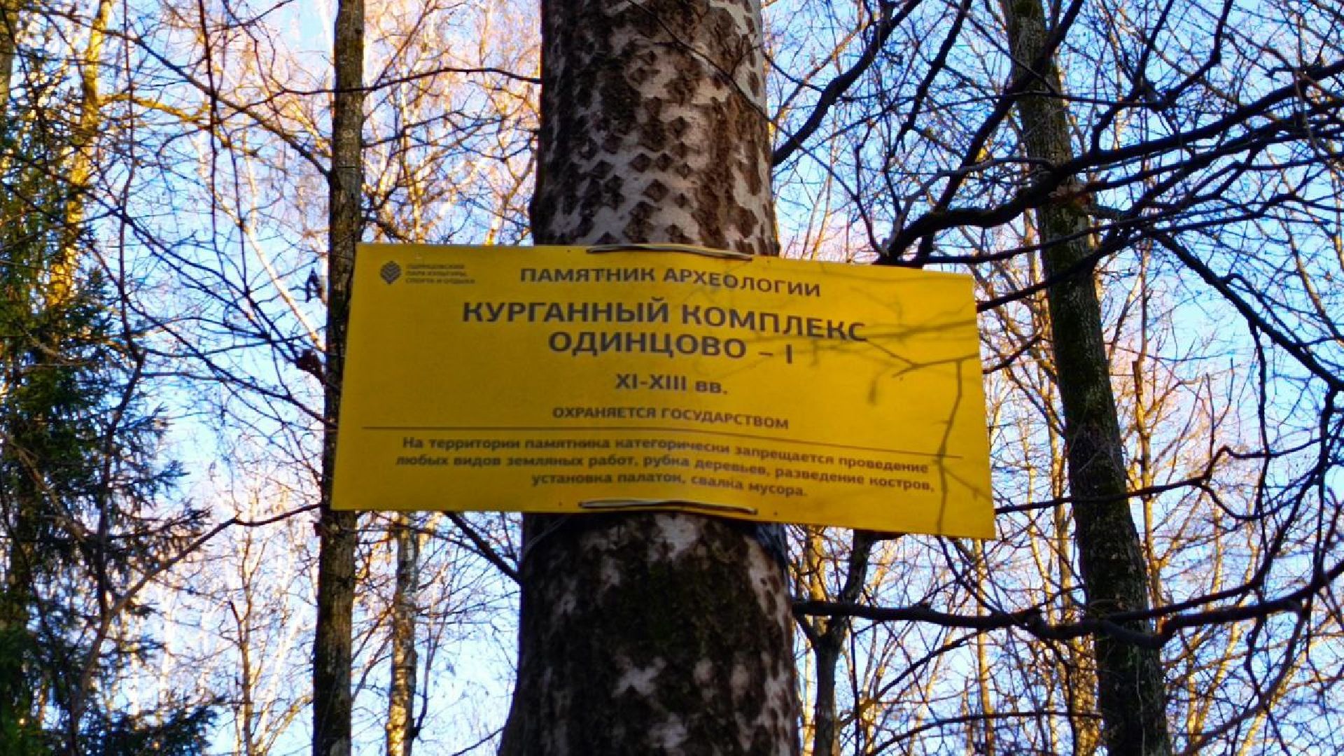 Краеведческий забег, День рождения Одинцово, Курганные комплексы,