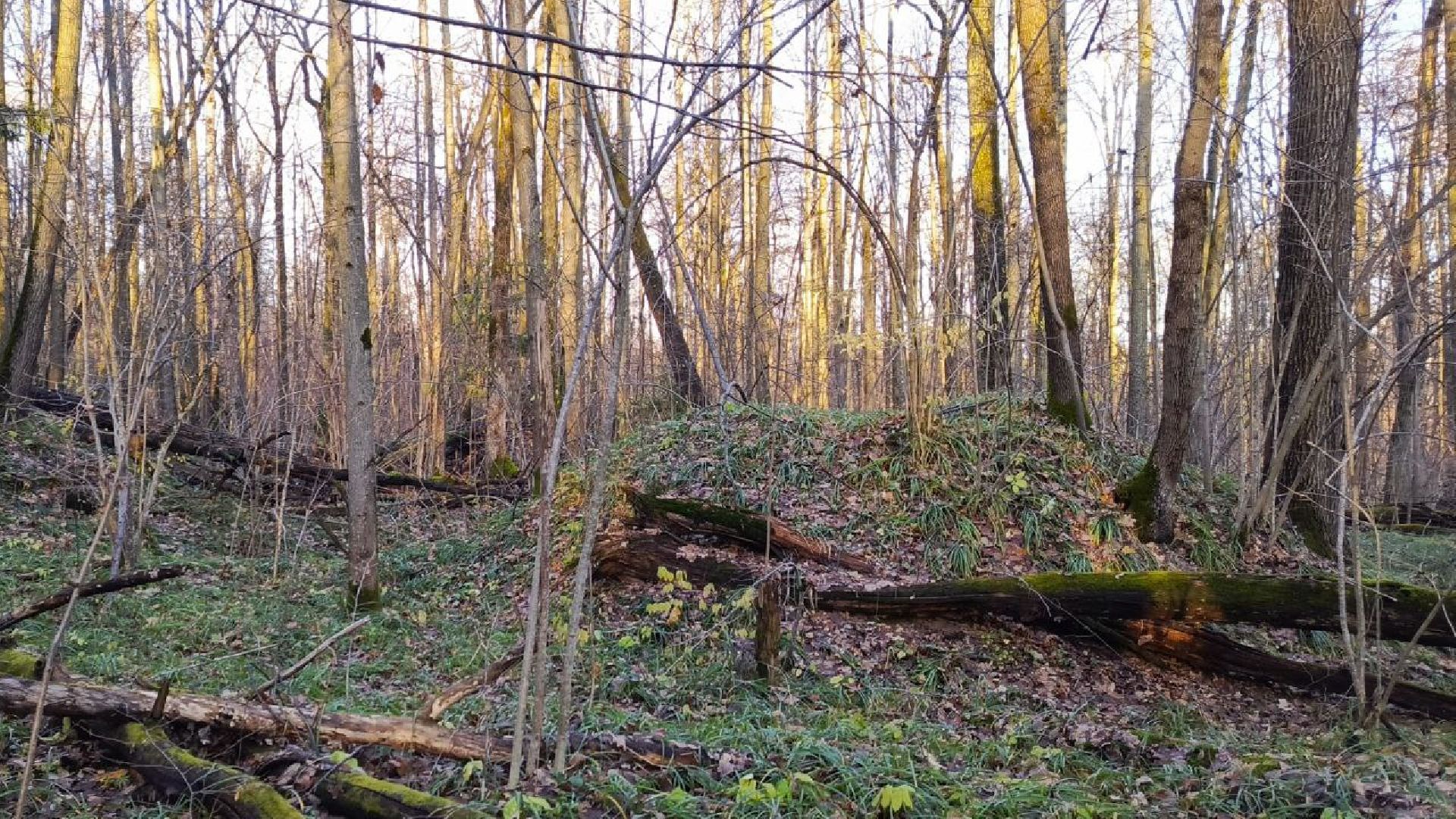 Краеведческий забег, День рождения Одинцово, Курганные комплексы,