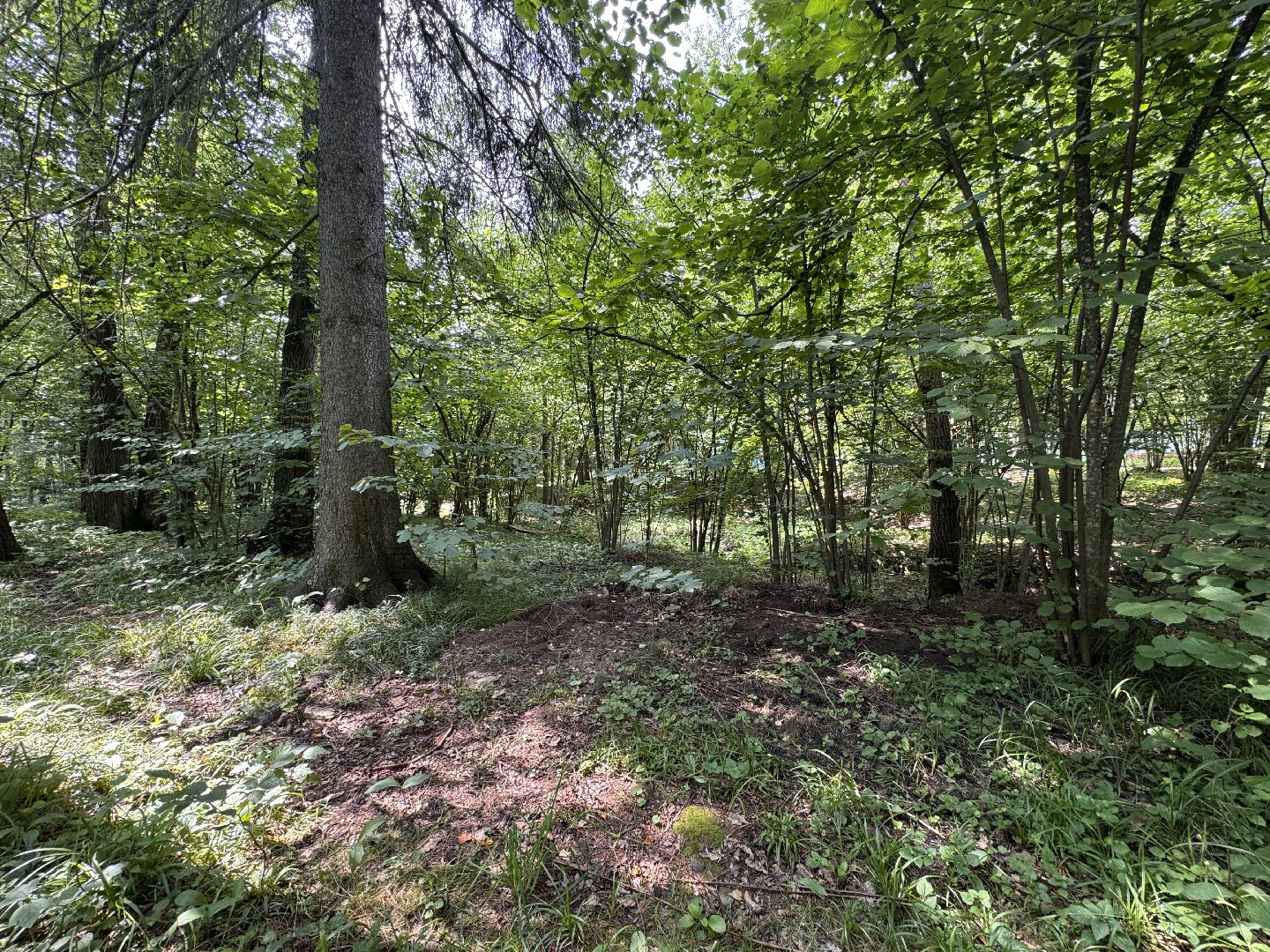 Краеведческий забег, День рождения Одинцово, Курганные комплексы,