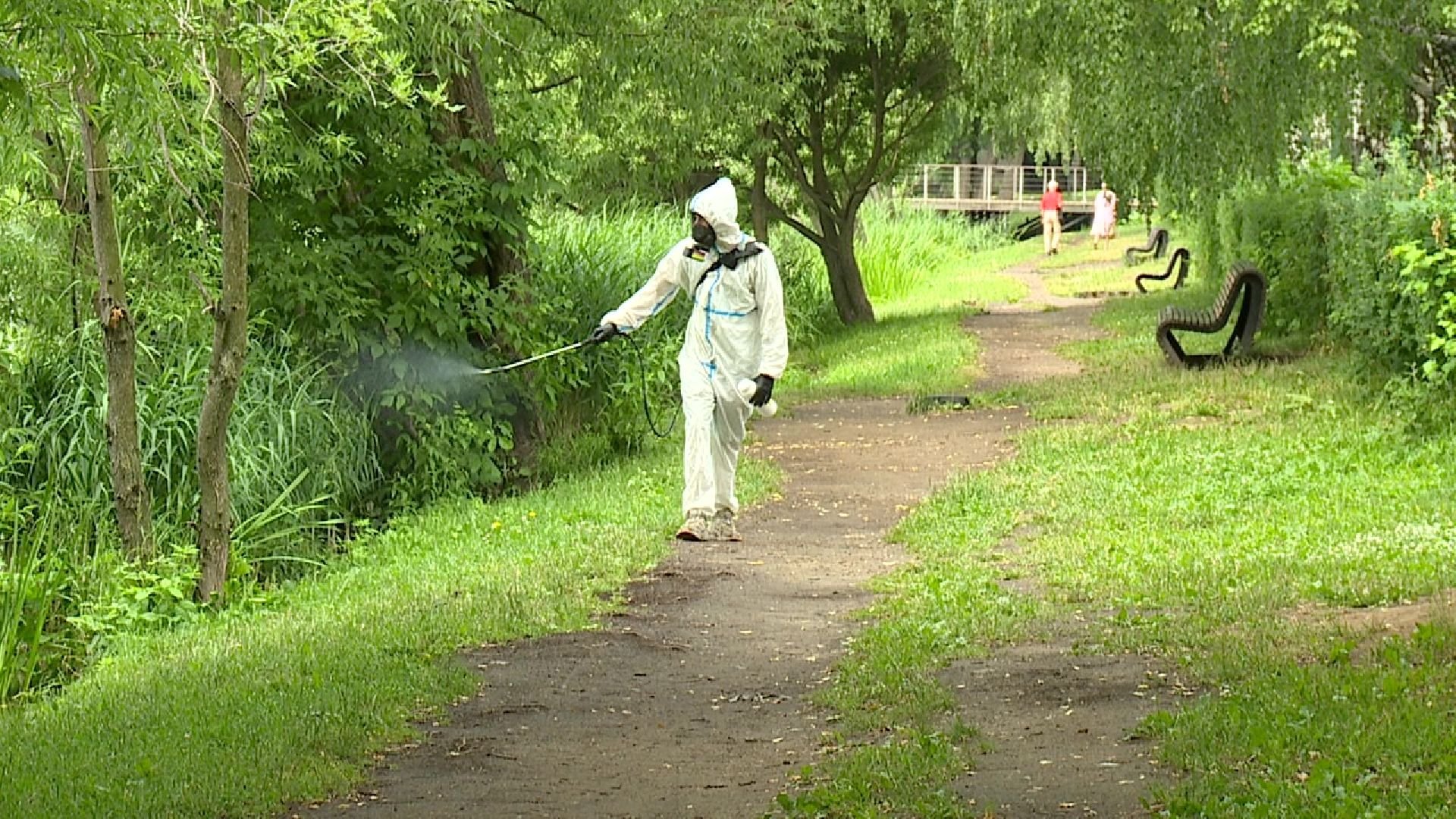 Реутов, природа, клещи, обработка парков, боррелиоз, энцефалит