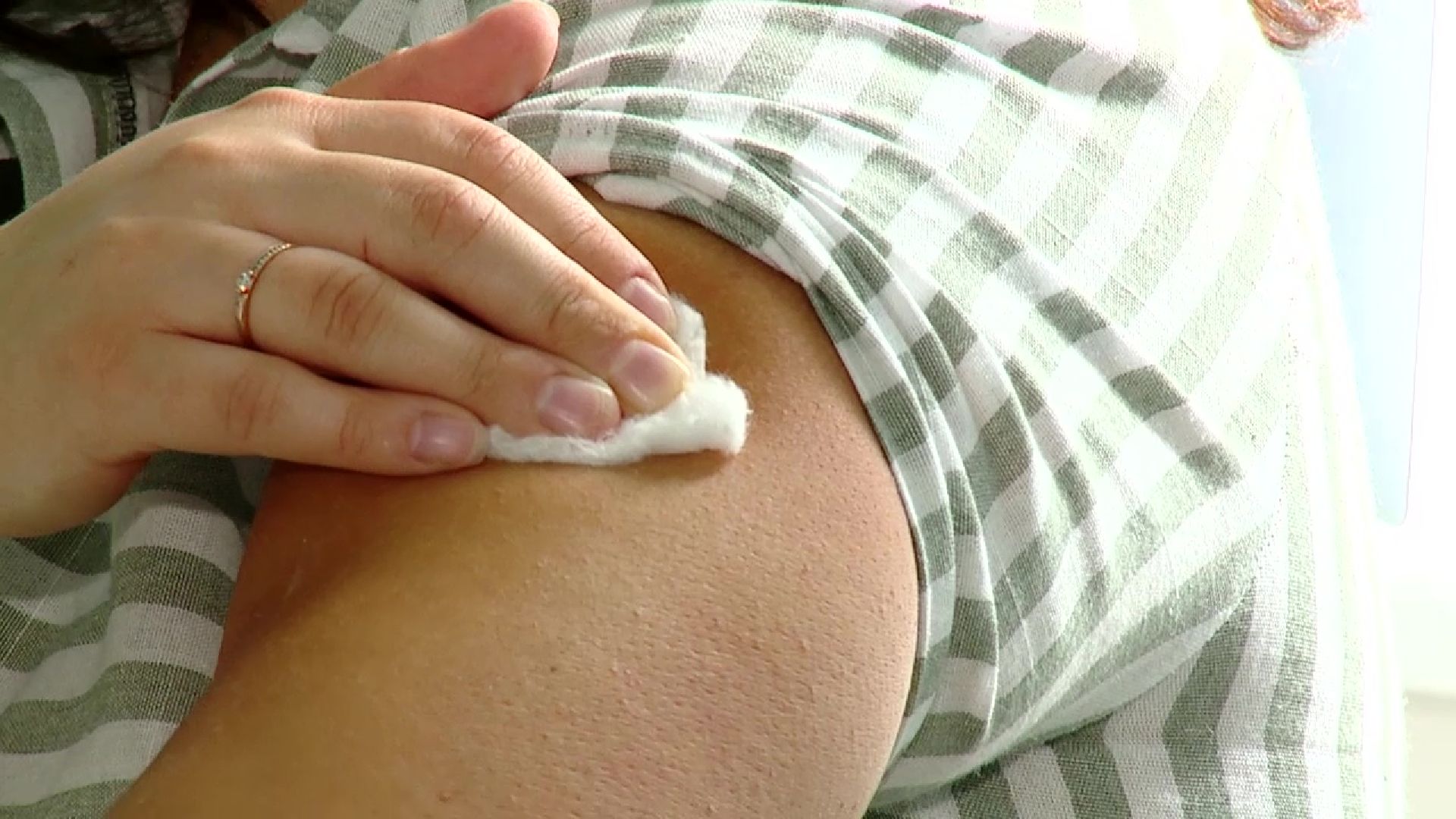 Реутов, природа, клещи, обработка парков, боррелиоз, энцефалит