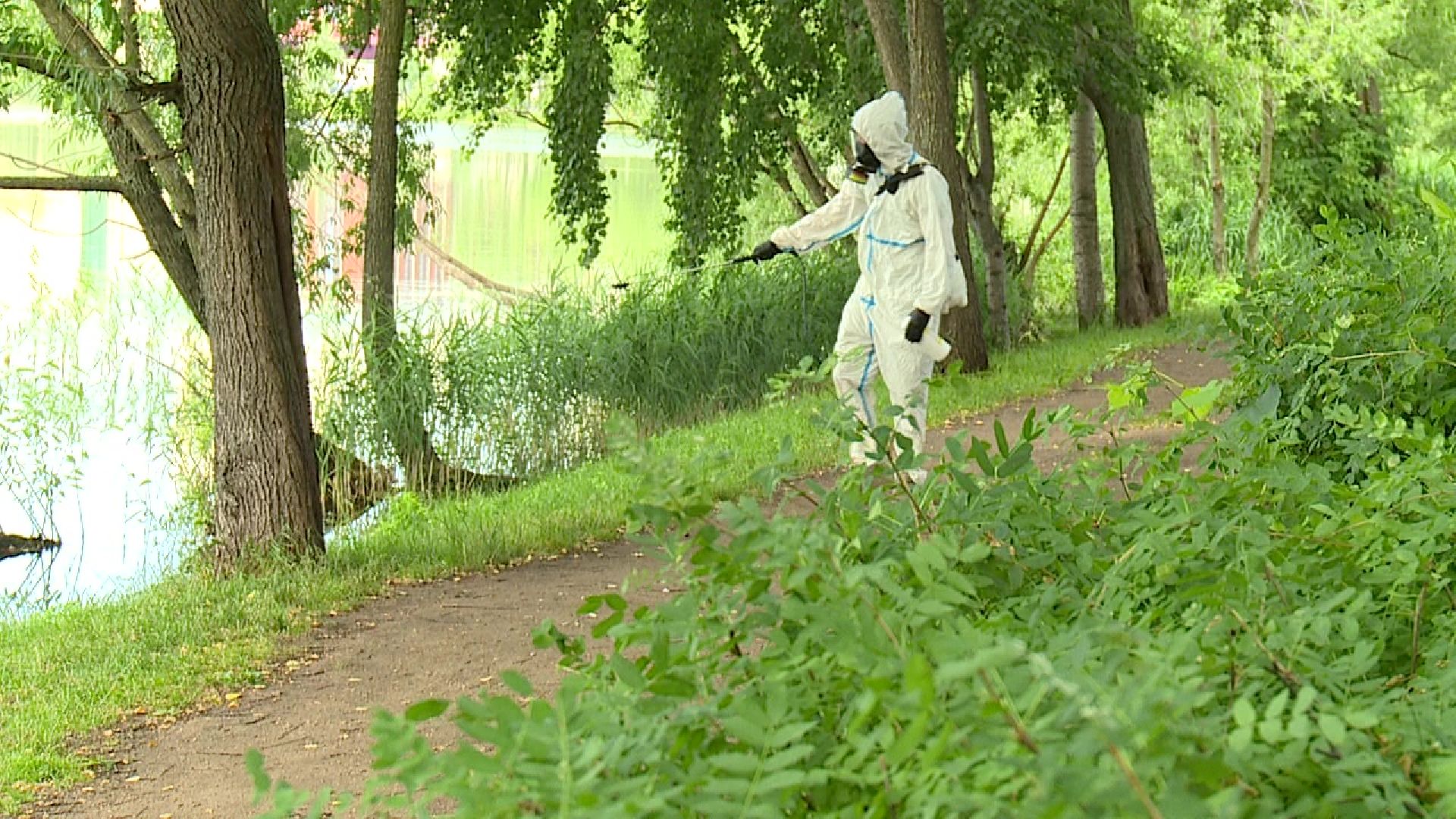 Реутов, природа, клещи, обработка парков, боррелиоз, энцефалит