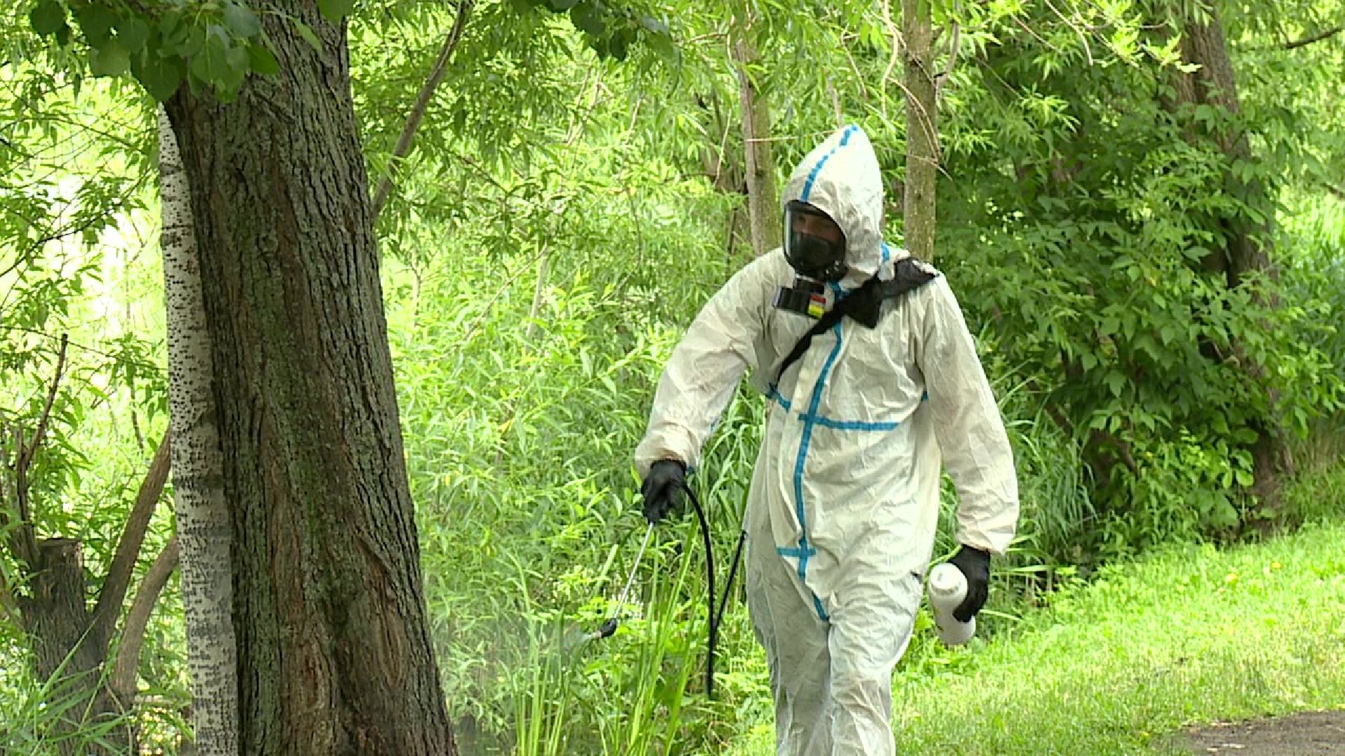 Реутов, природа, клещи, обработка парков, боррелиоз, энцефалит