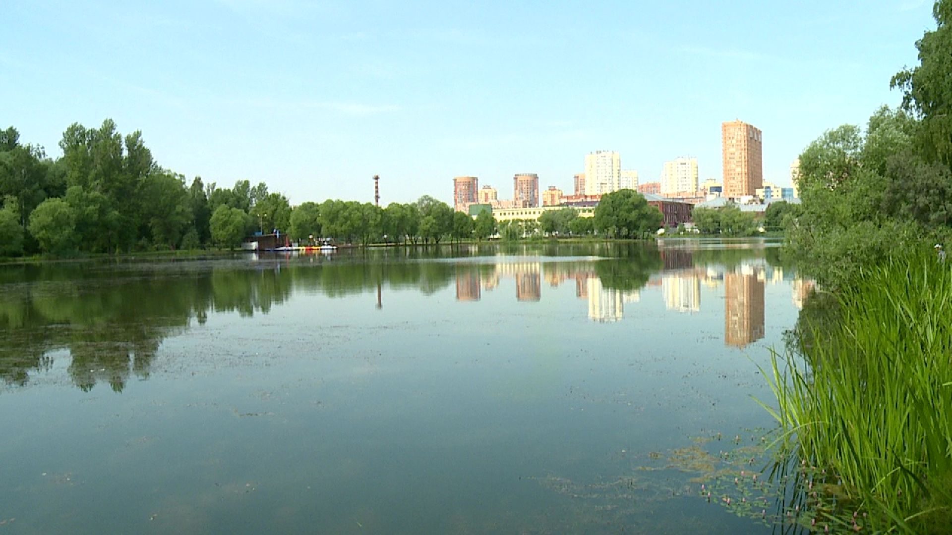 Реутов, природа, клещи, обработка парков, боррелиоз, энцефалит