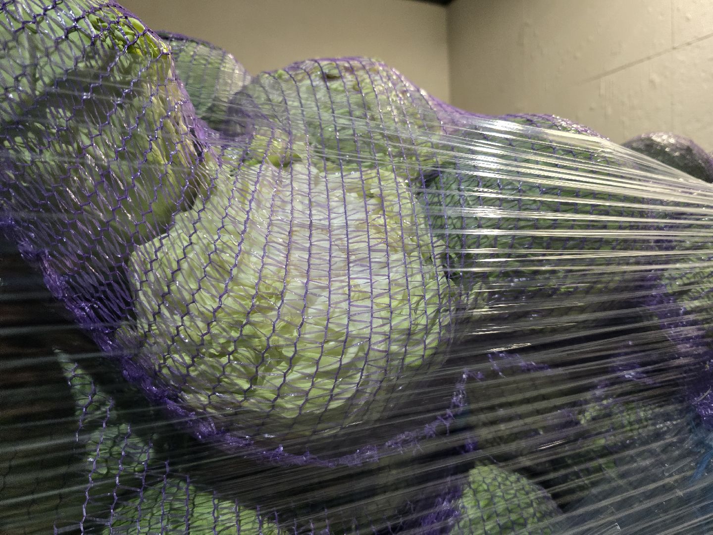 Коломна, сельское хозяйство, овощехранилище,