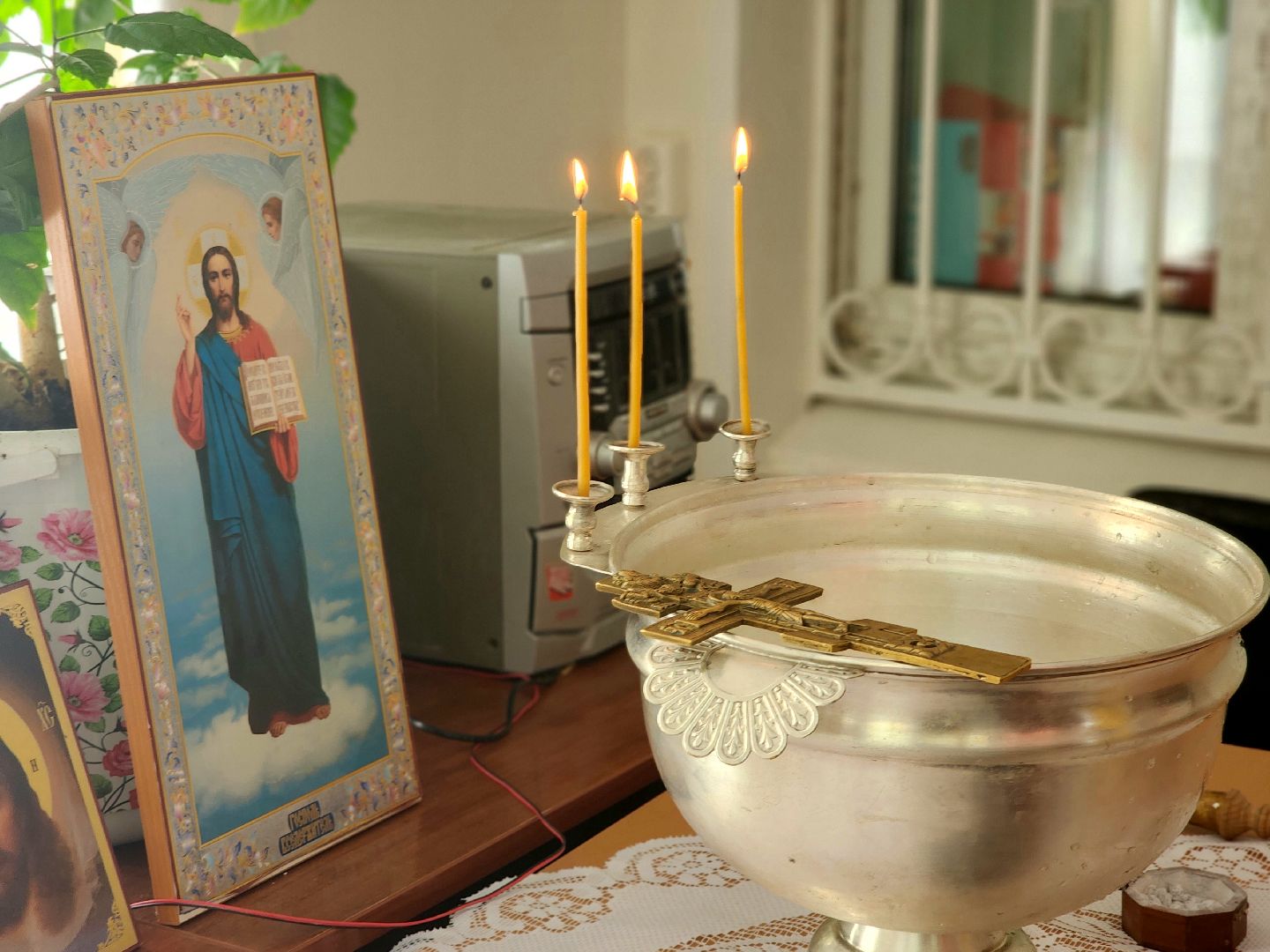 пущино, серпухов, общество,