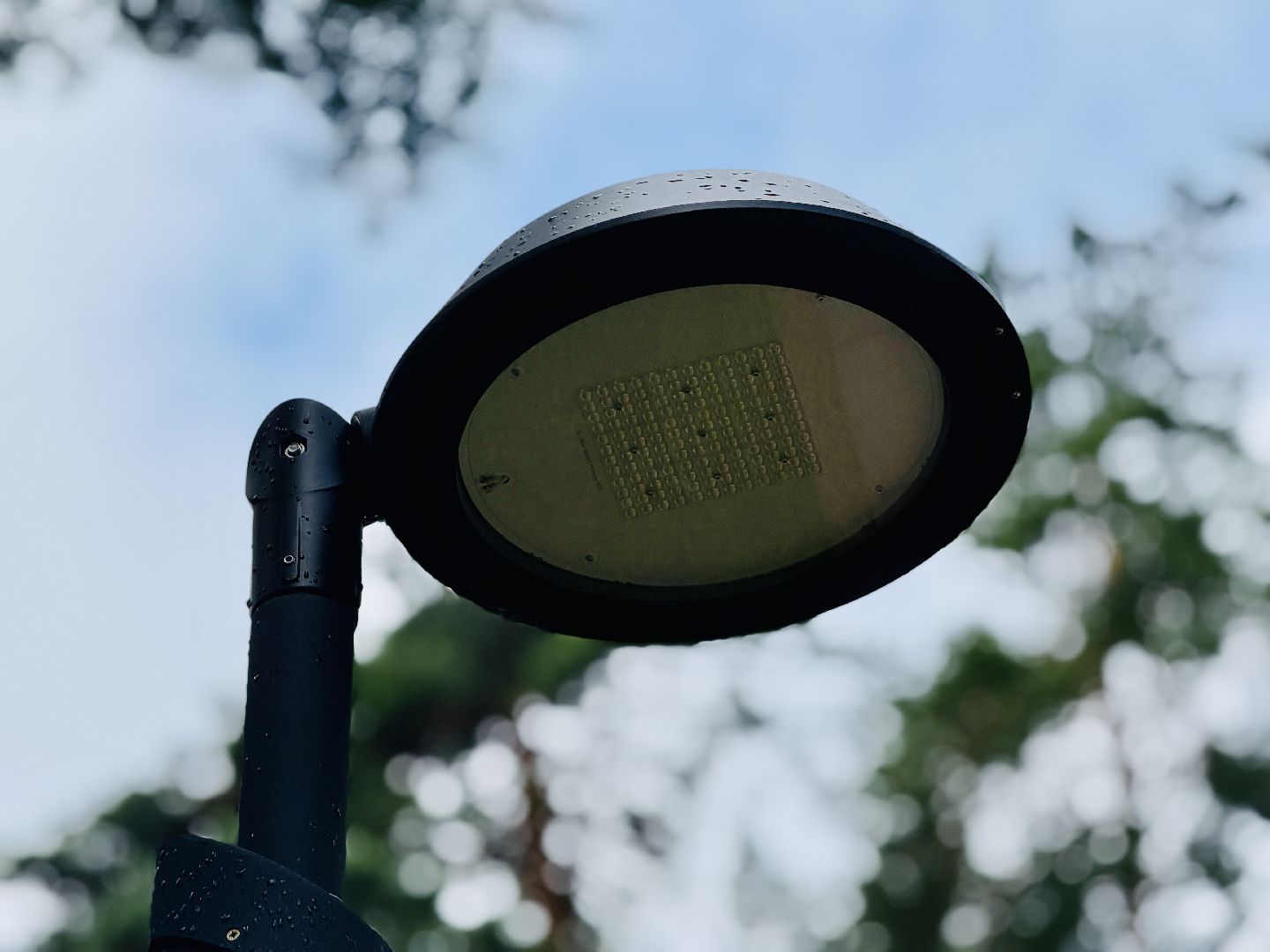 Раменское, ильинский, ильинский пруд, благоустройство, набережная,