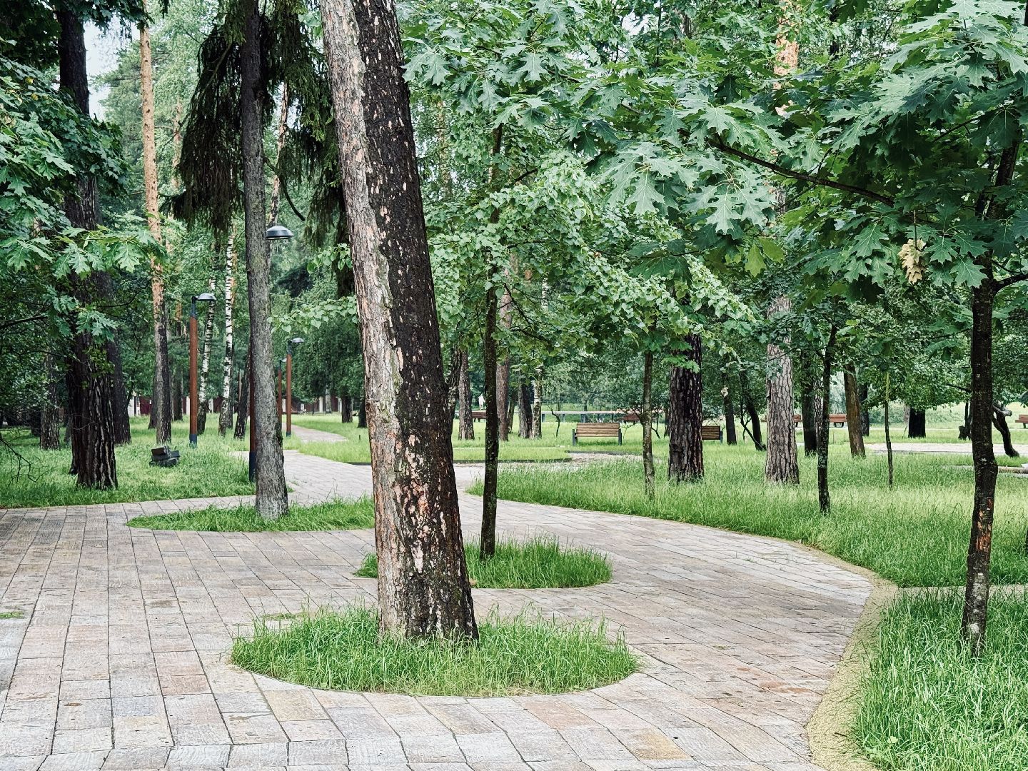 Раменское, ильинский, ильинский пруд, благоустройство, набережная,